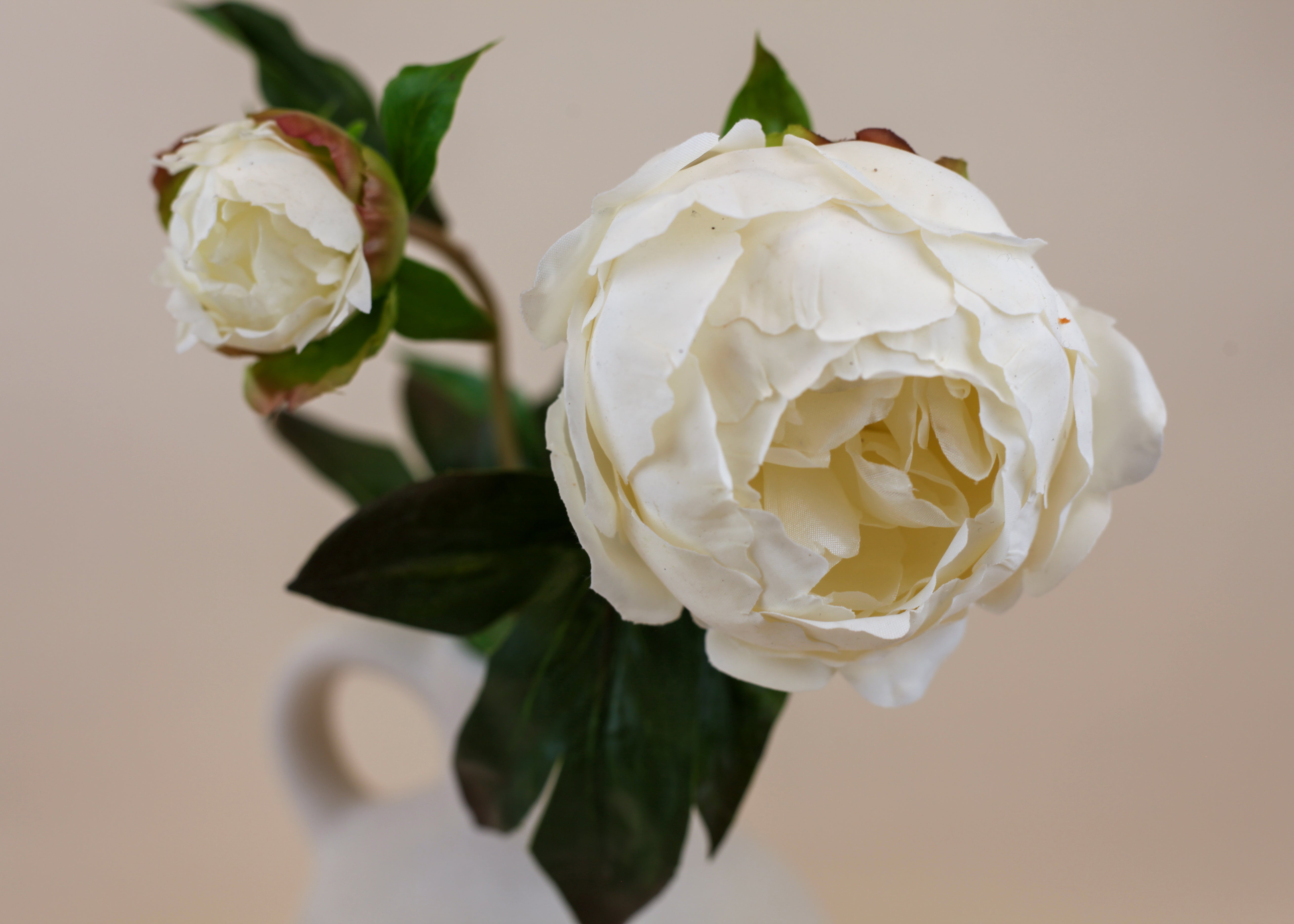 Real Touch Peony & Bud- White 23"