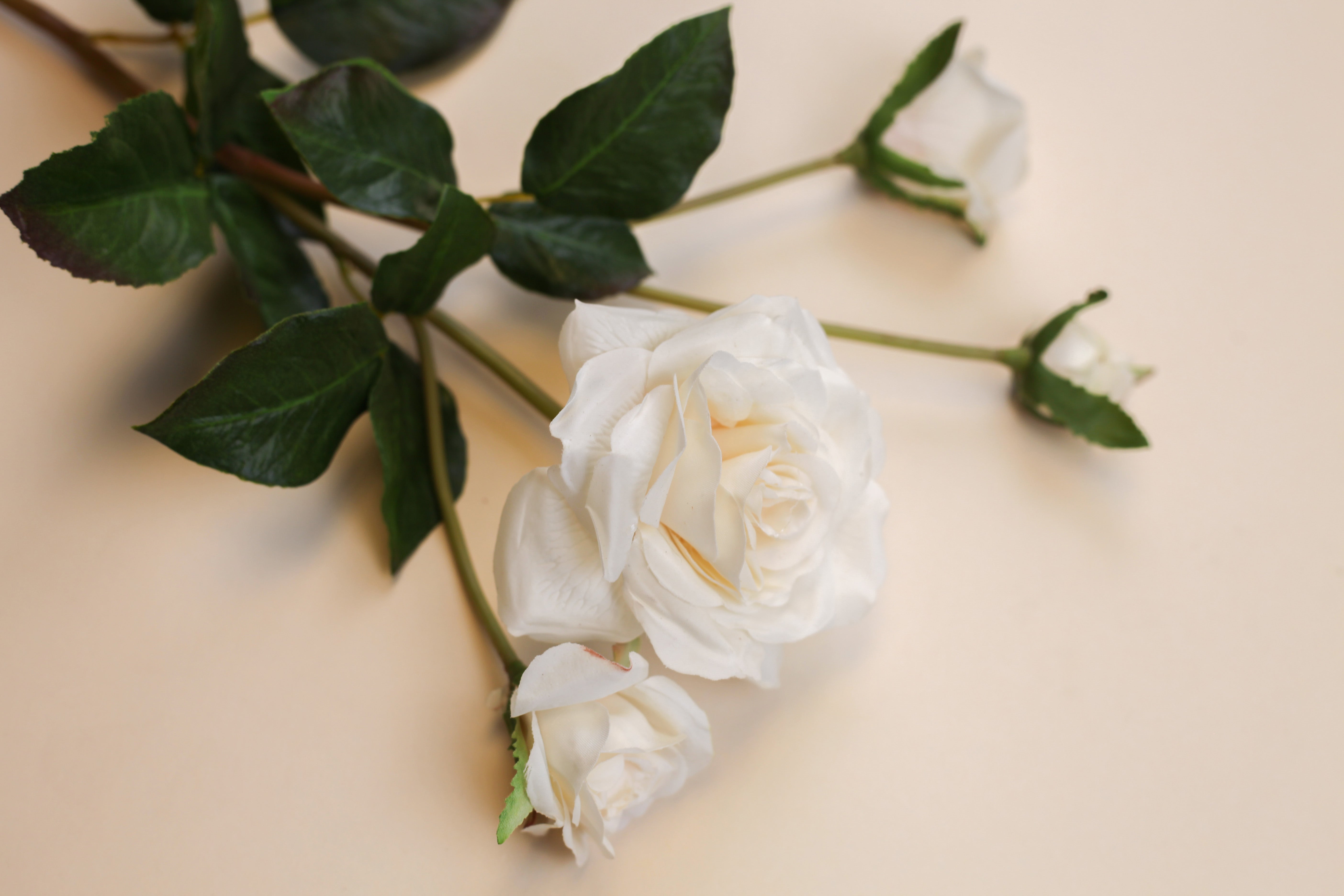 Real Touch Beatrix Potter Rose Branch 24"