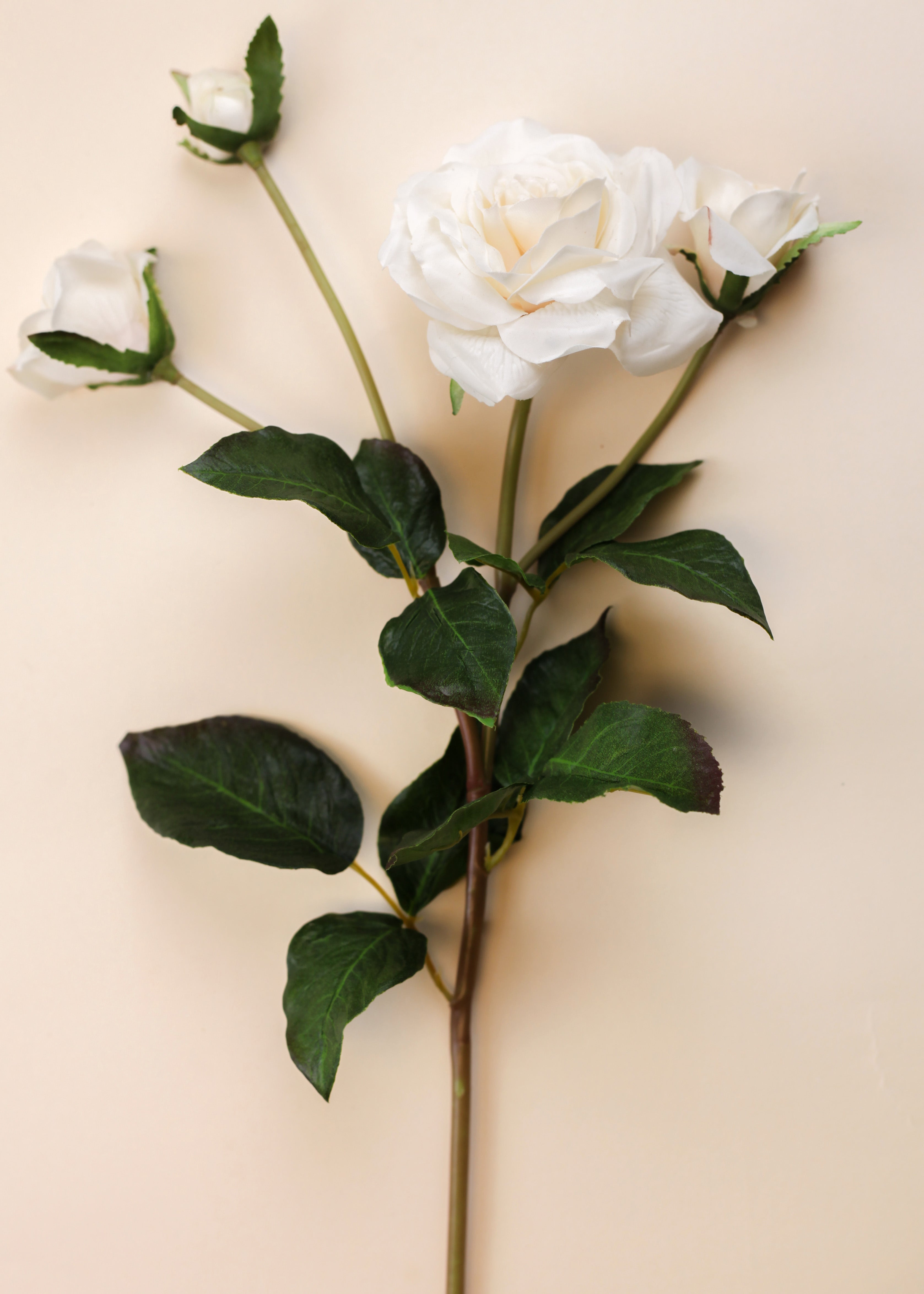 Real Touch Beatrix Potter Rose Branch 24"