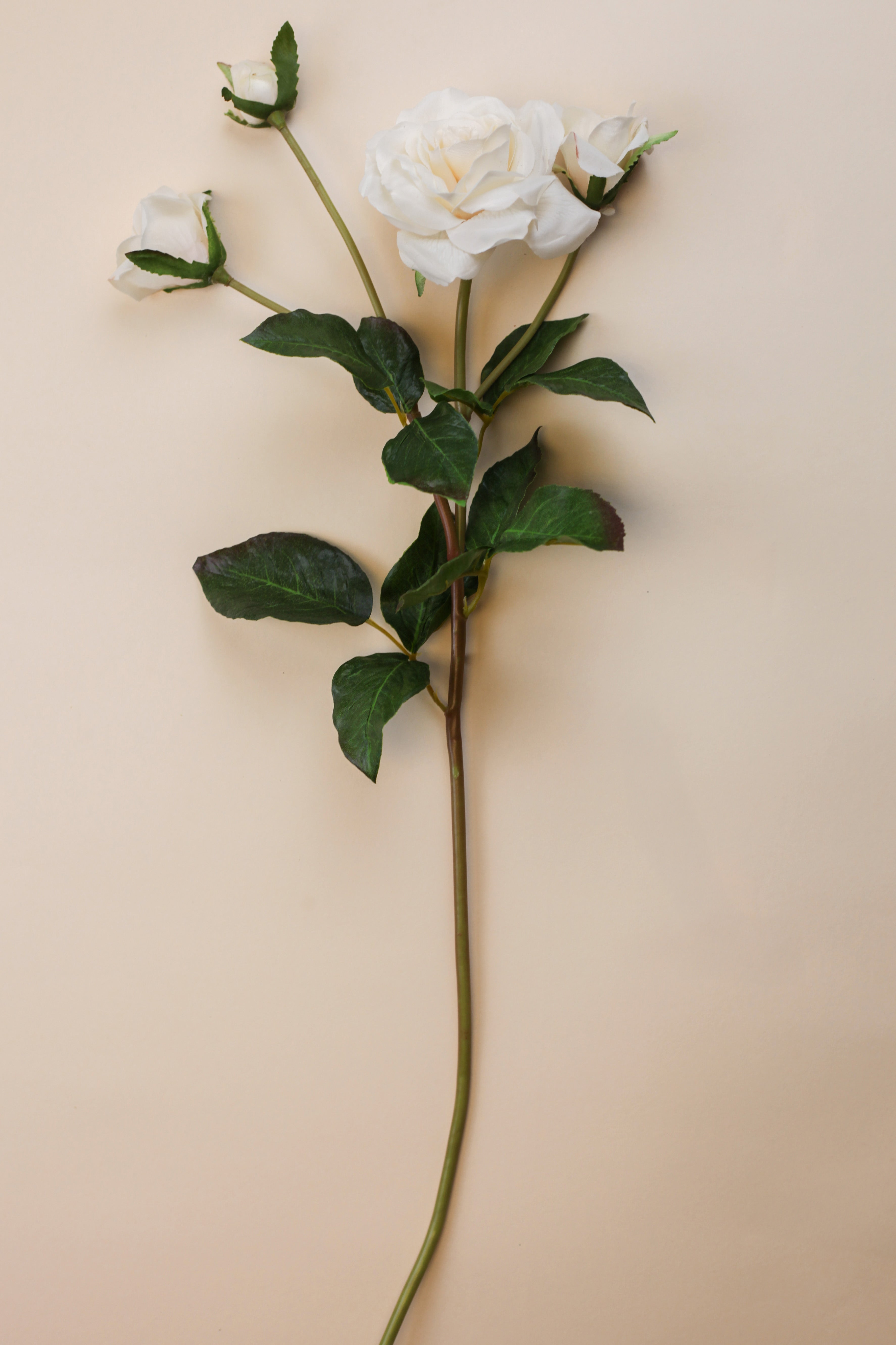 Real Touch Beatrix Potter Rose Branch 24"
