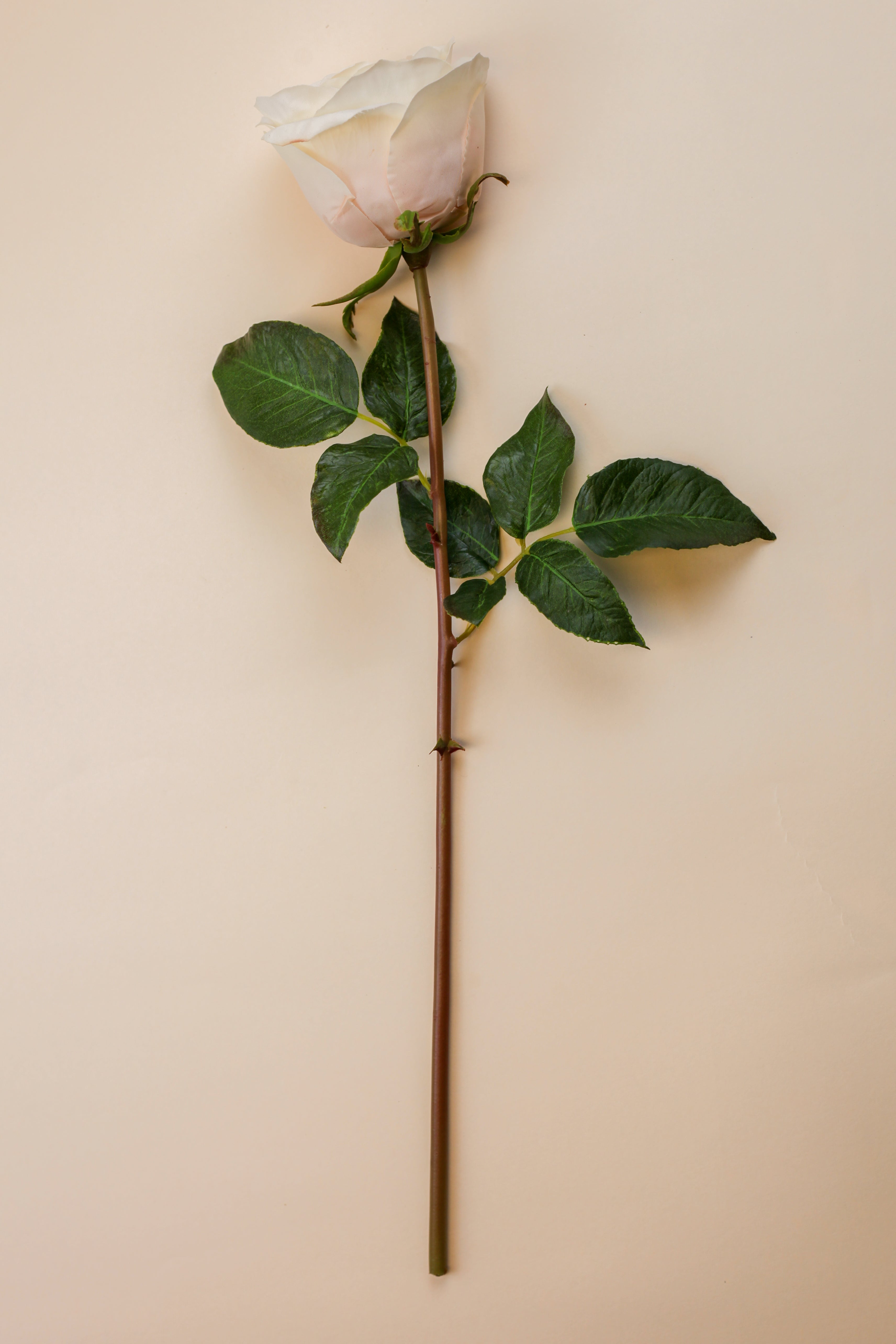 Real Touch Blushing Queen Rose 20"