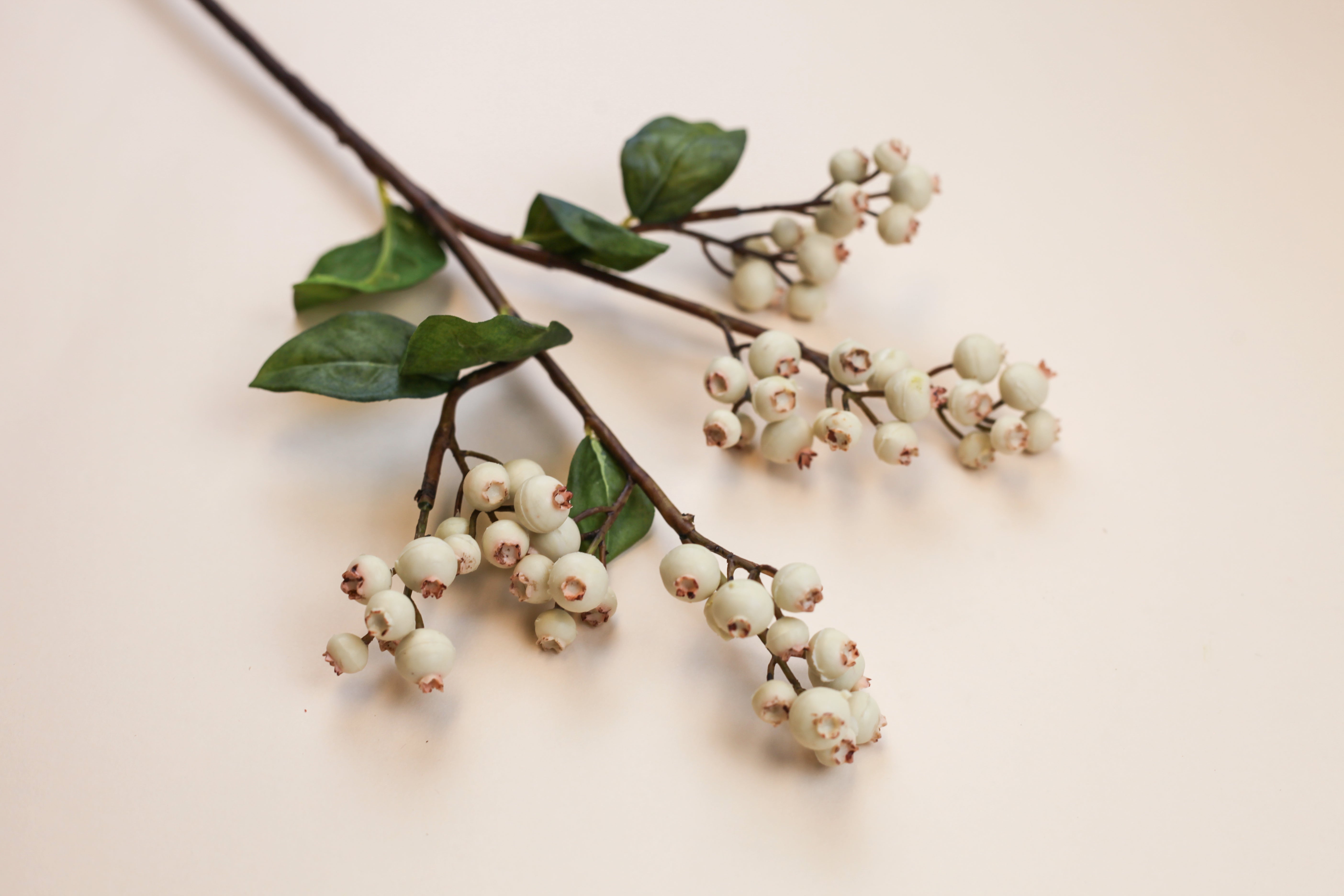 White Blueberry Branch