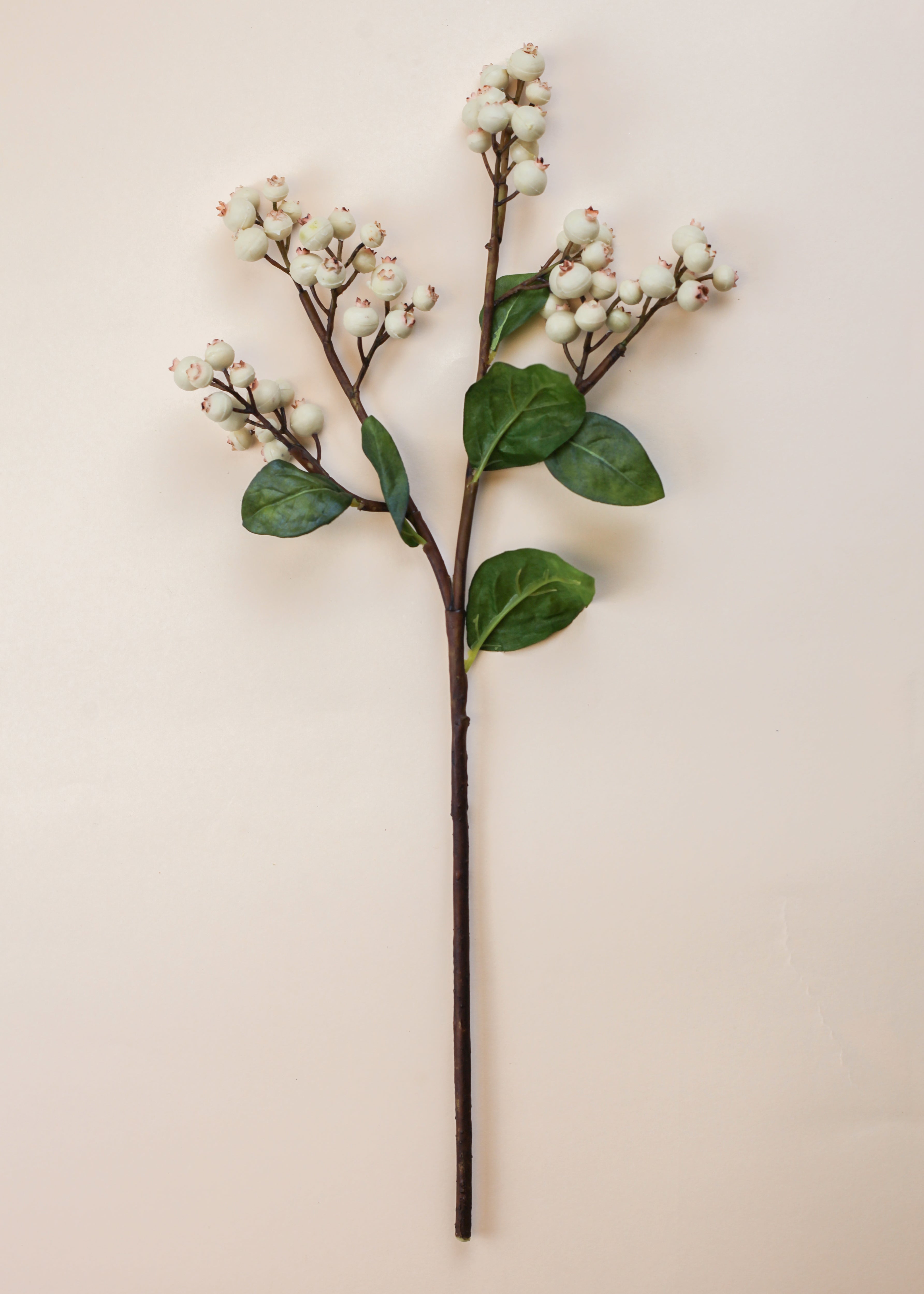 White Blueberry Branch