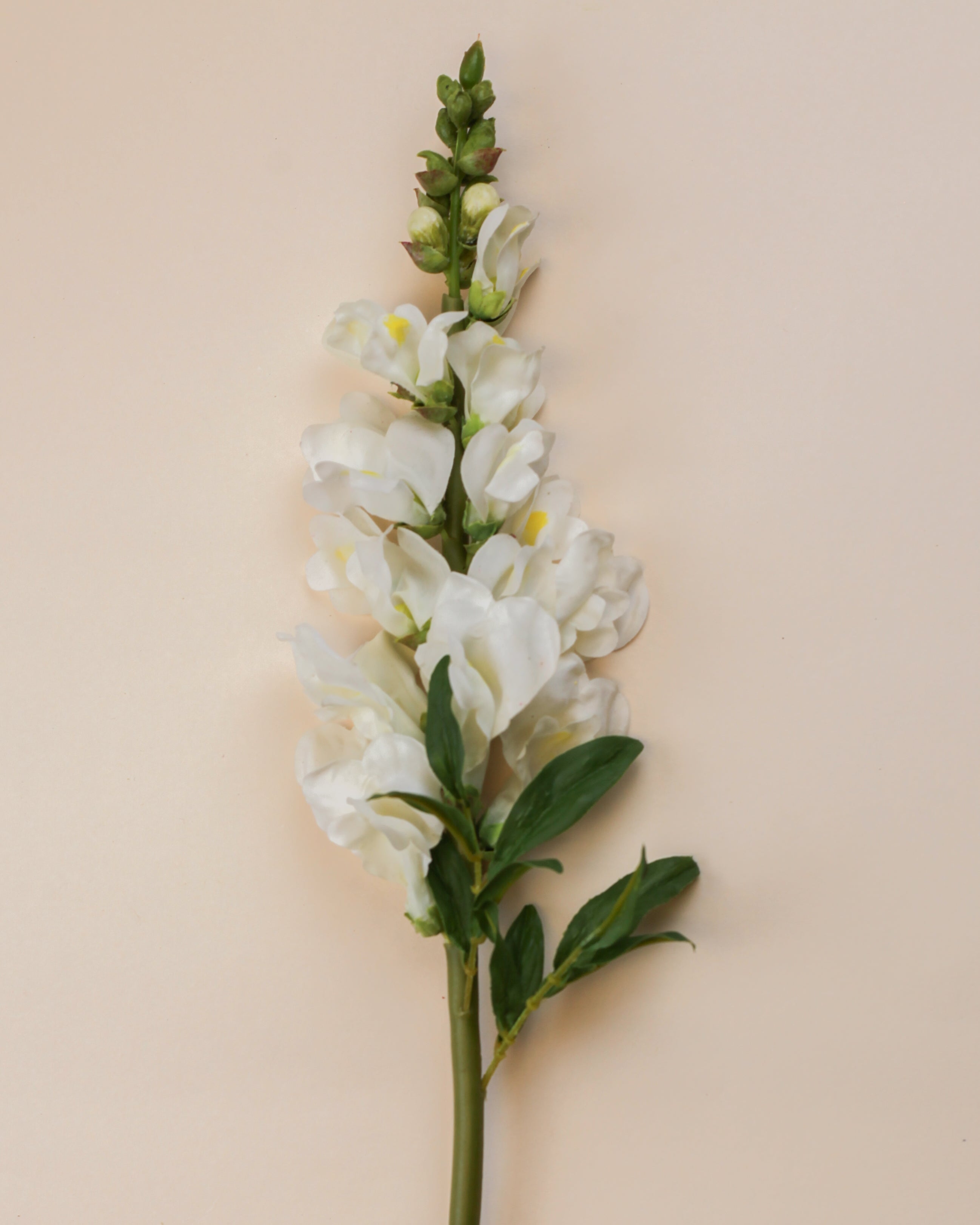 Real Touch Snapdragon - White 23"