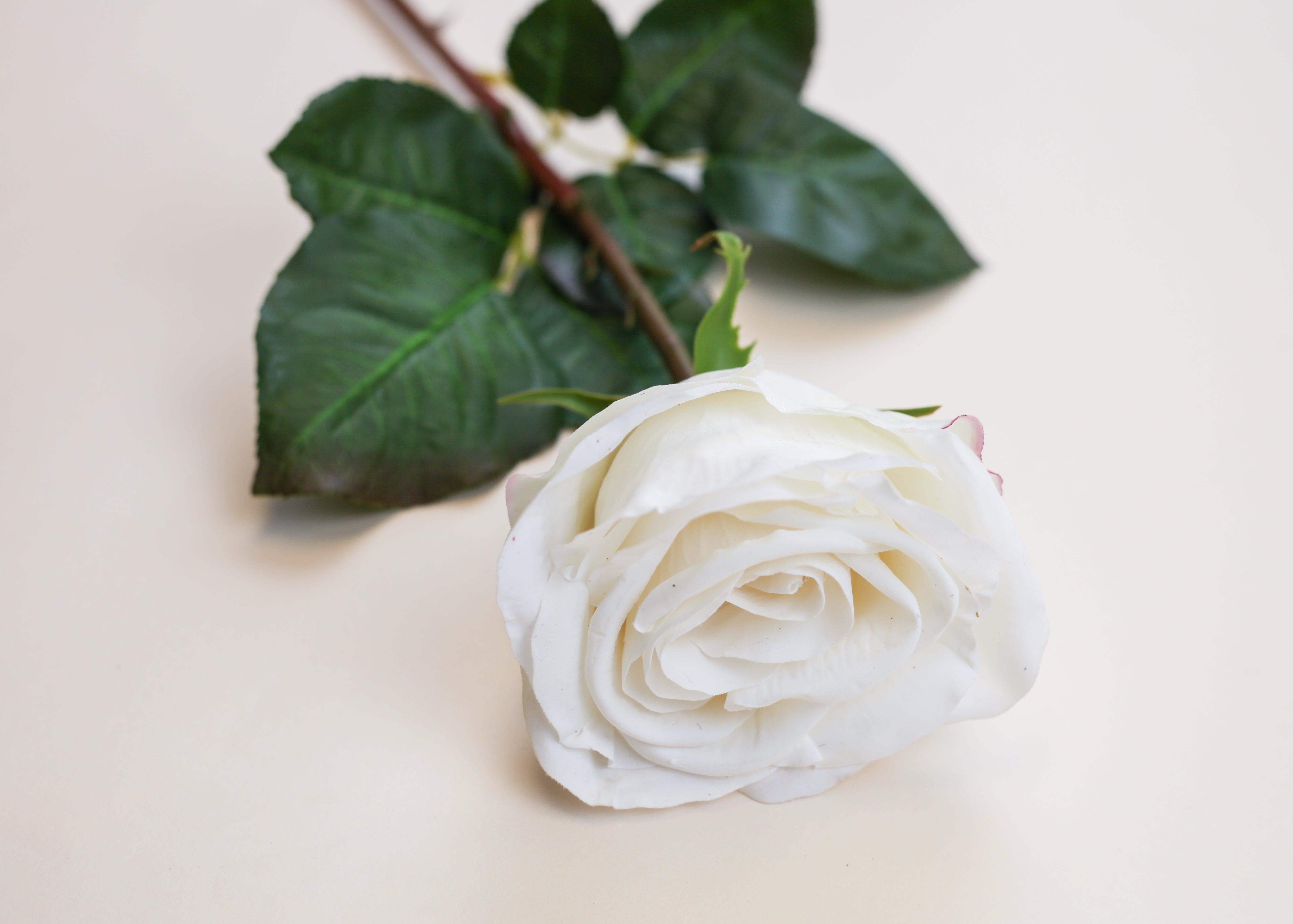 Real Touch Ecuadorian Rose - White 20.5"