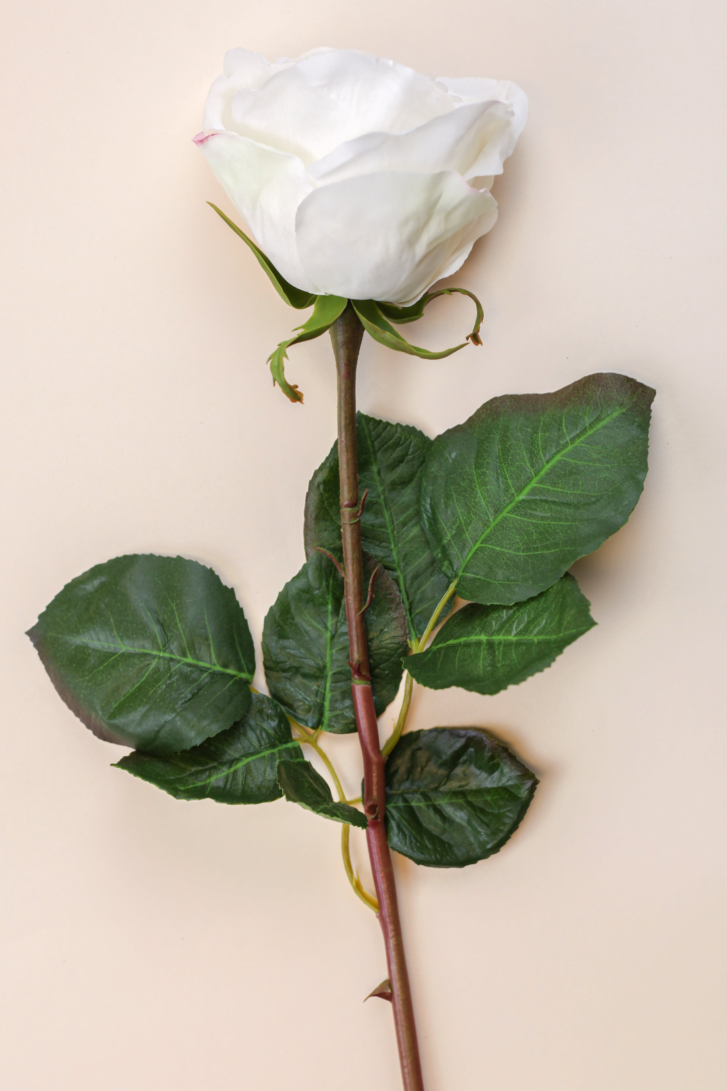 Real Touch Ecuadorian Rose - White 20.5"