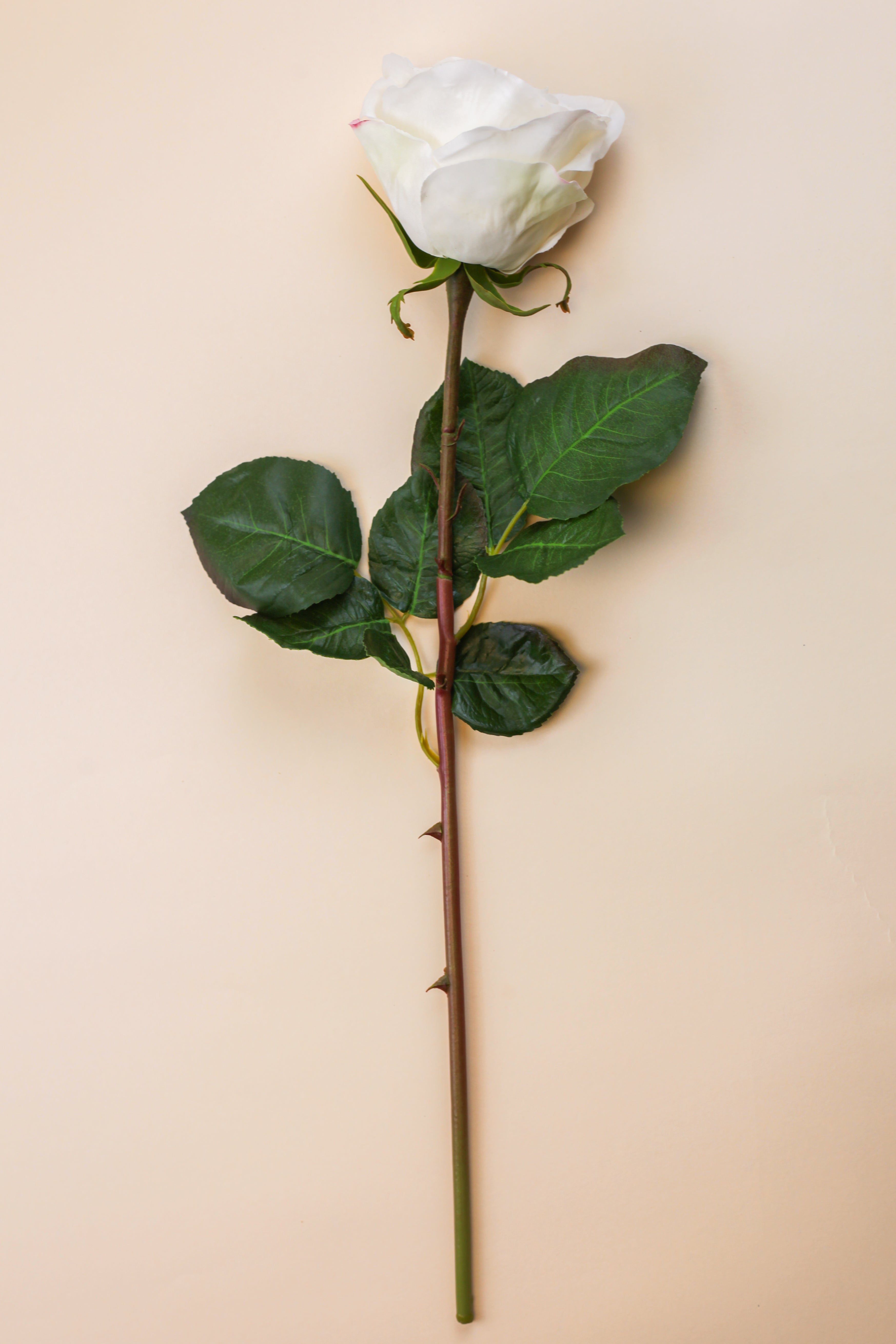 Real Touch Ecuadorian Rose - White 20.5"