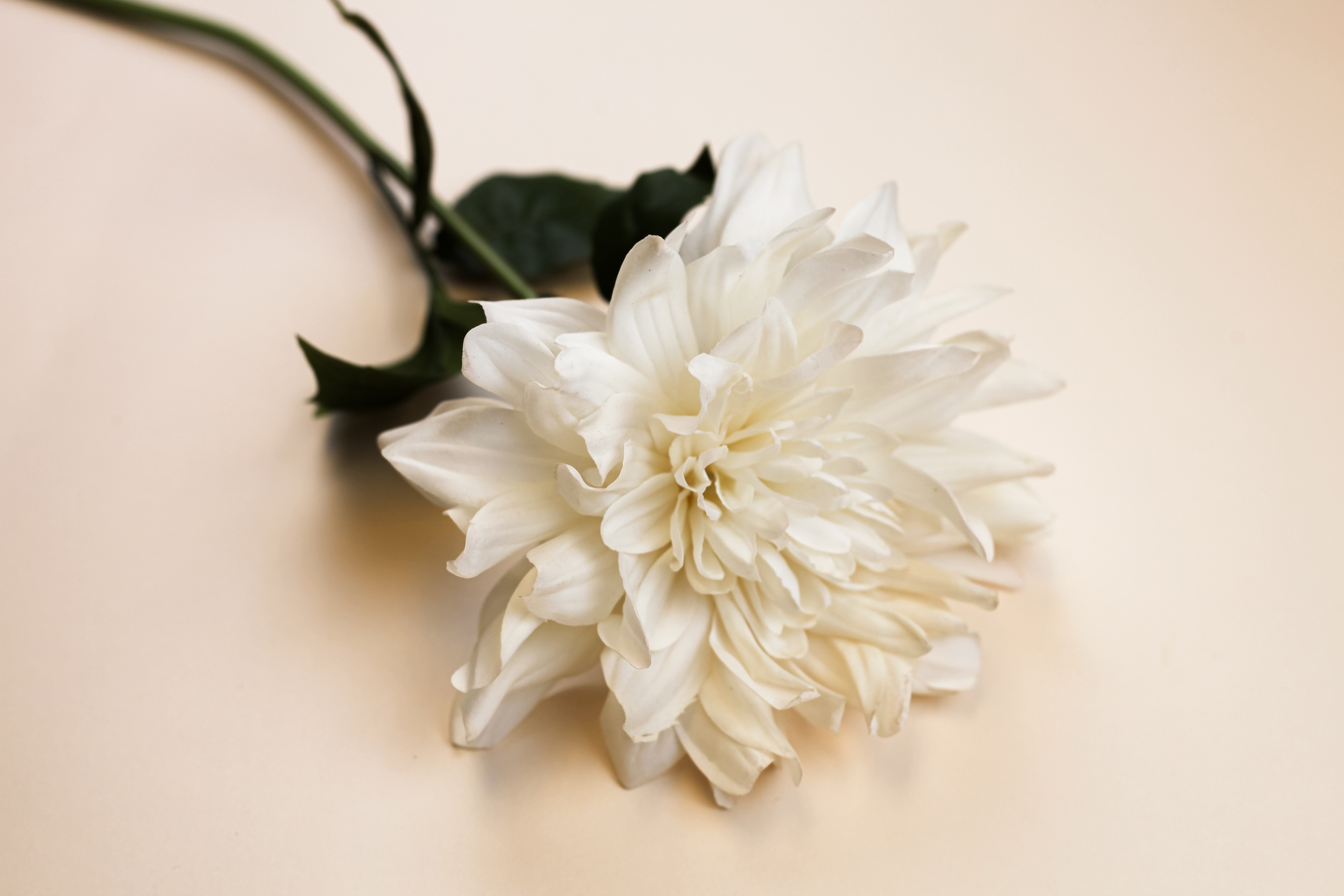 Real Touch Dahlia - White