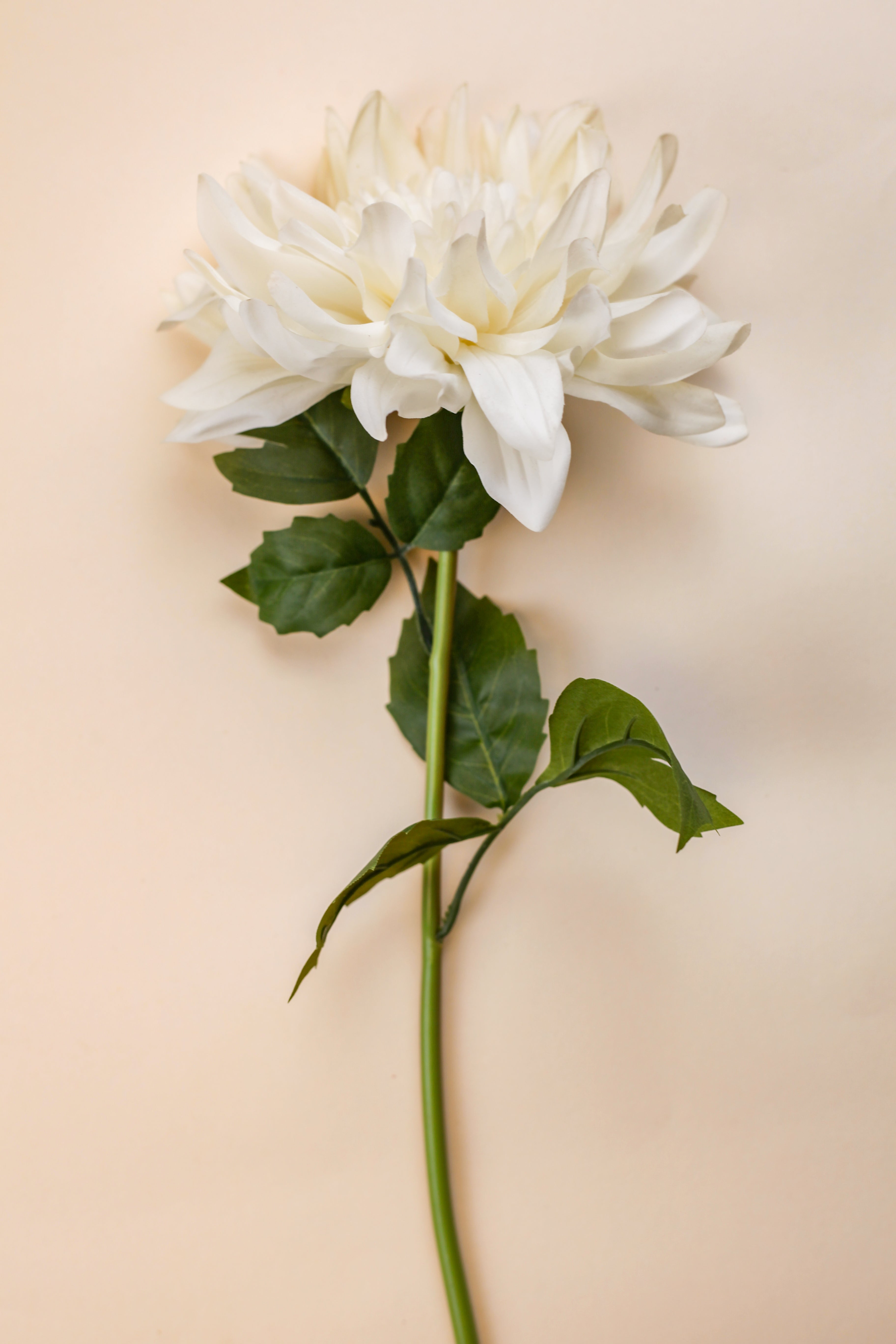 Real Touch Dahlia - White
