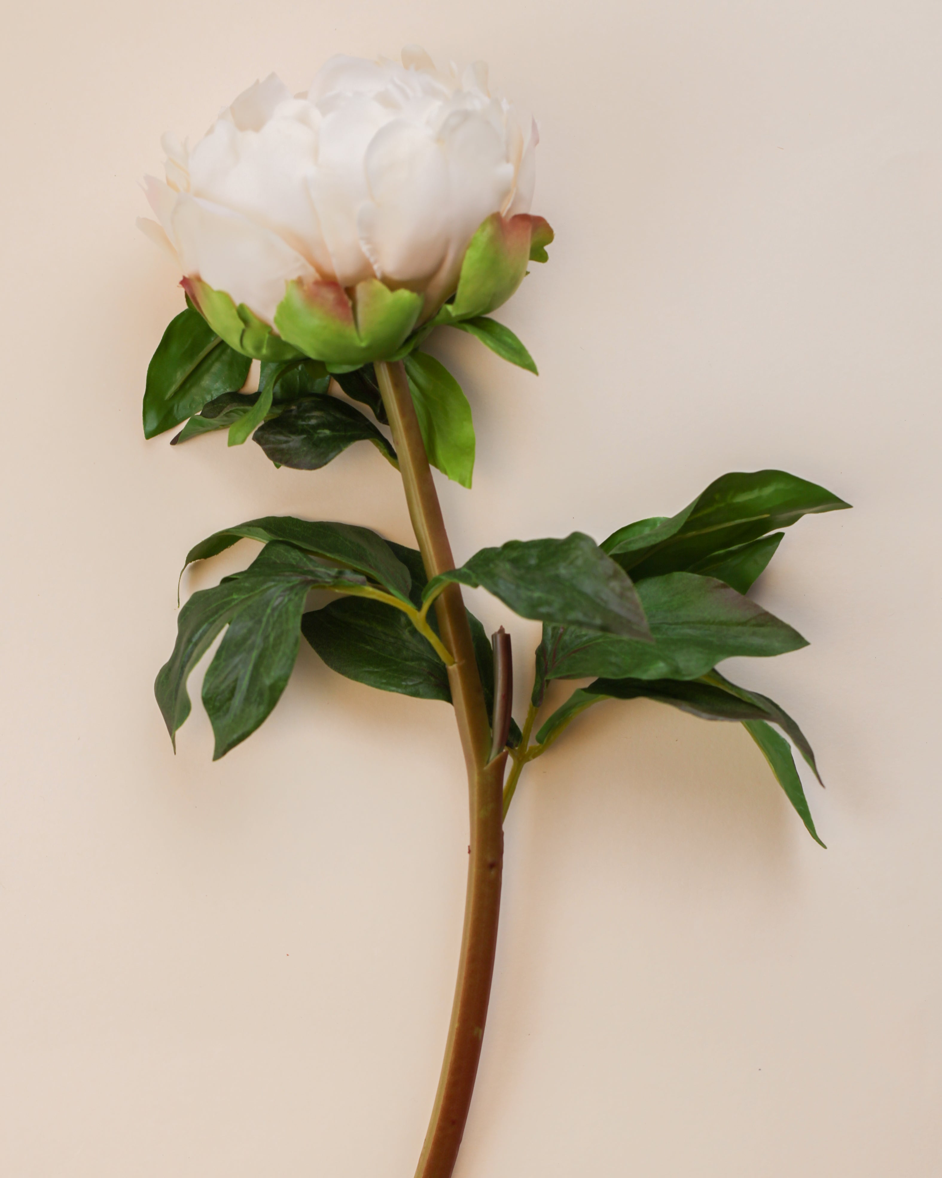 Real Touch Peony - Blush 20.5"