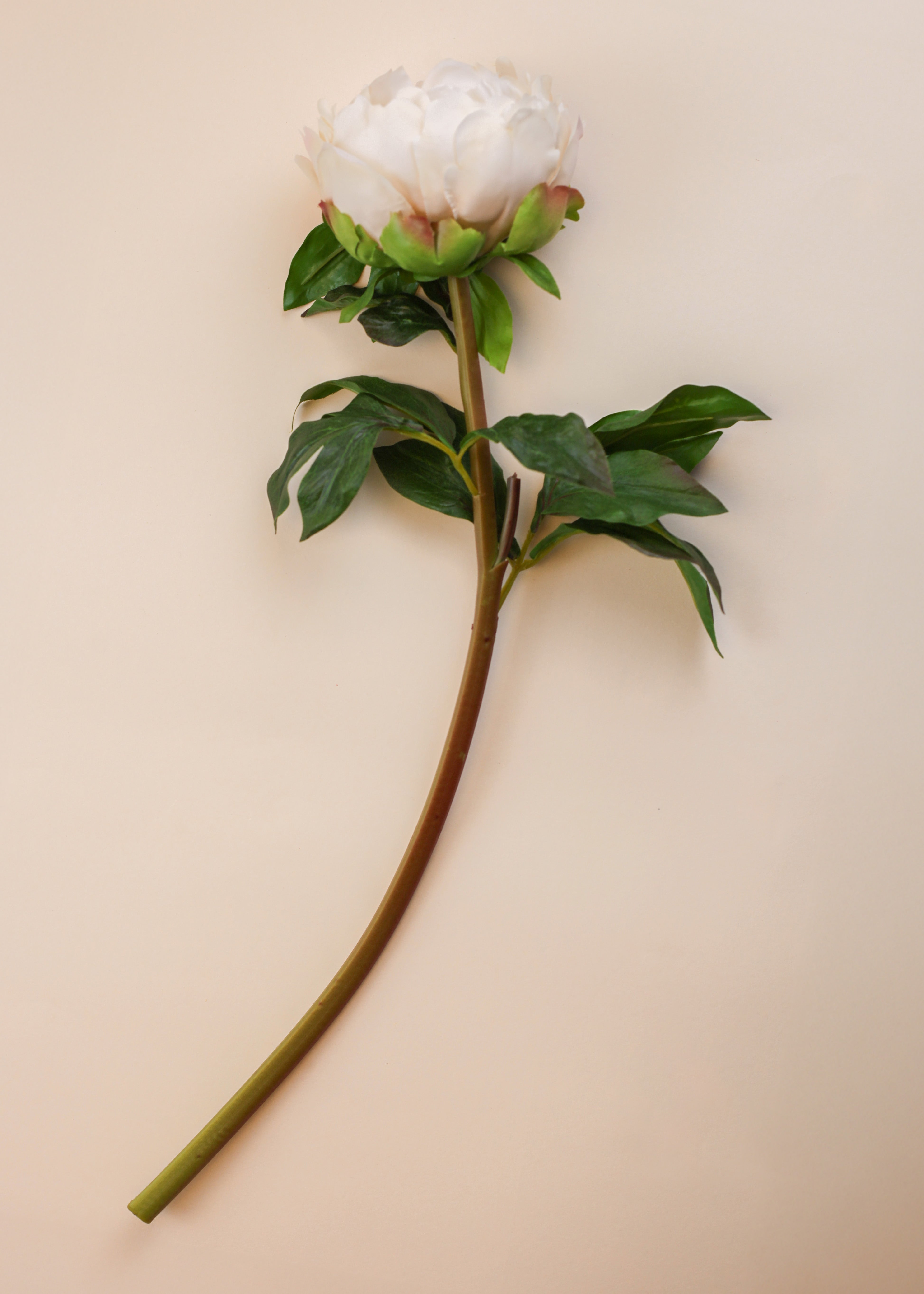 Real Touch Peony - Blush 20.5"