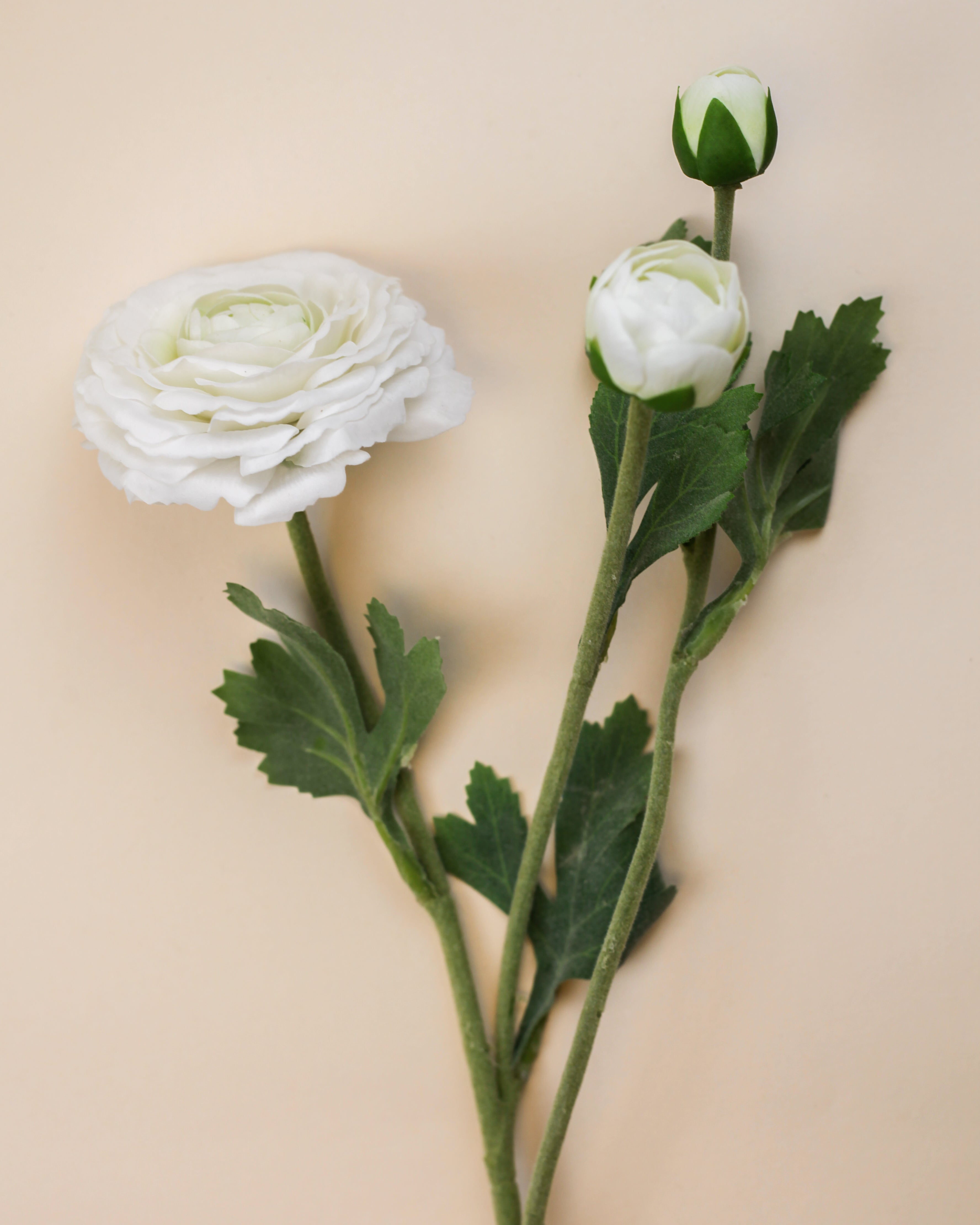 Real Touch Ranunculus - White 18"