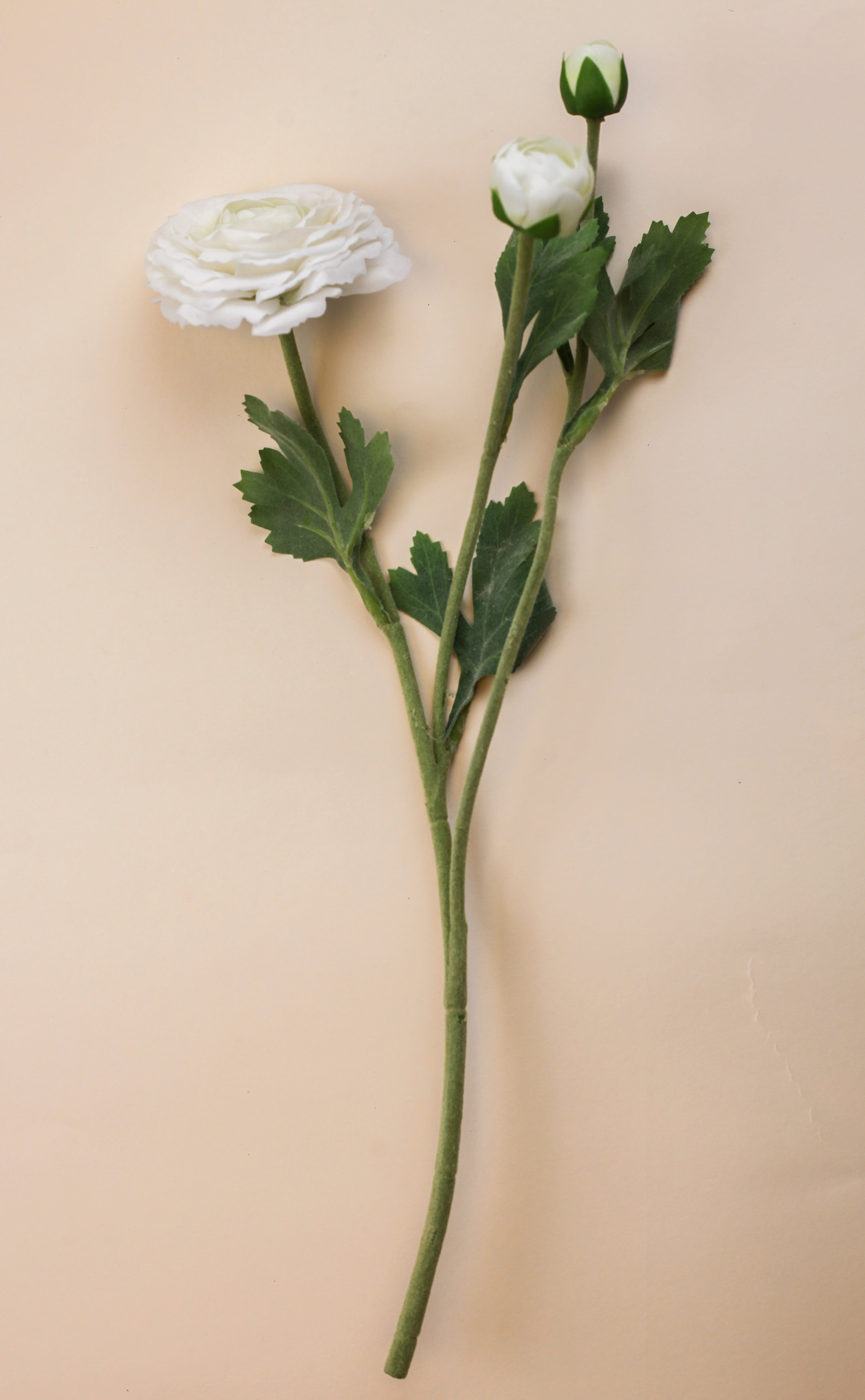 Real Touch Ranunculus - White 18"
