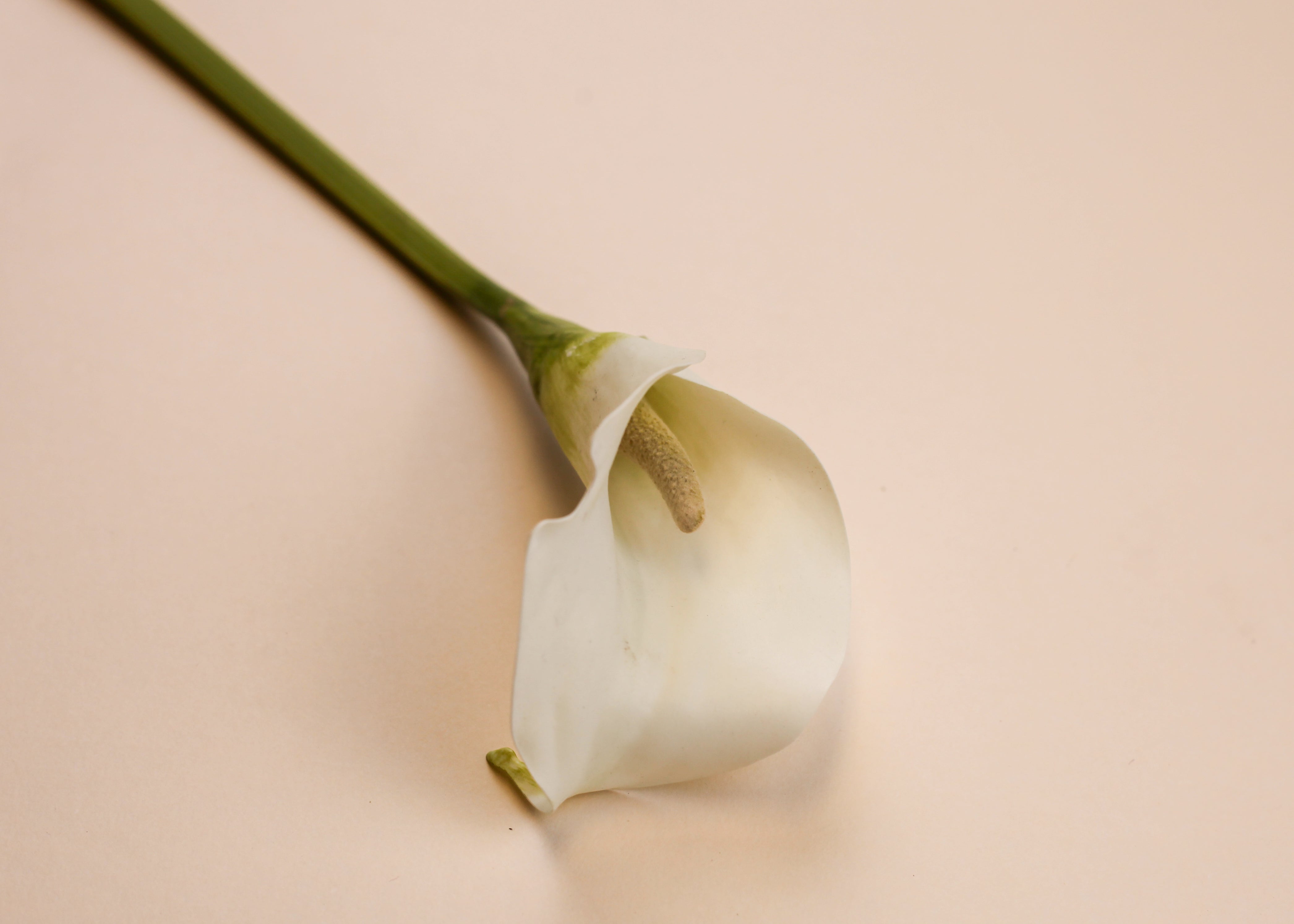 Real Touch Petite Calla Lily