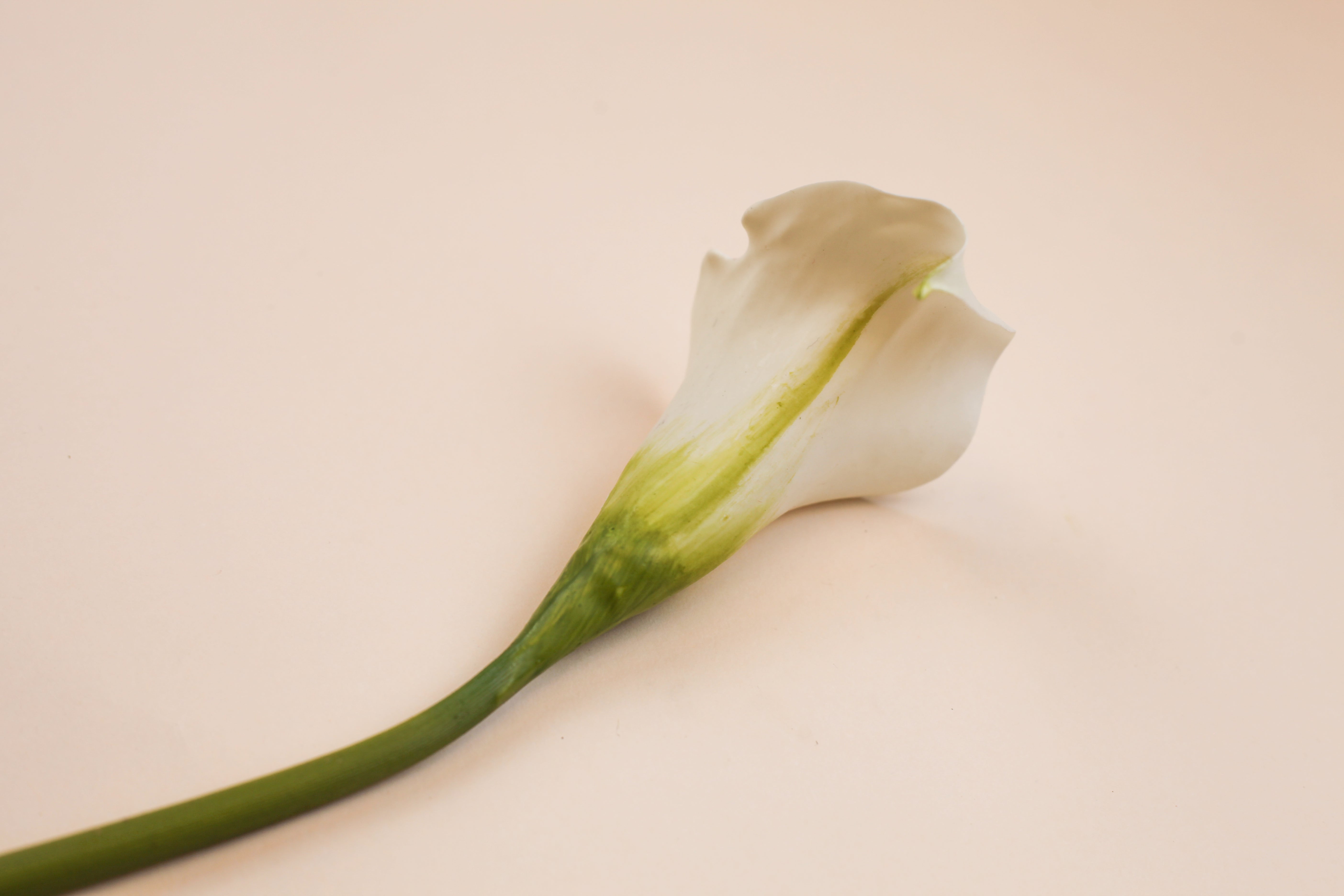 Real Touch Petite Calla Lily