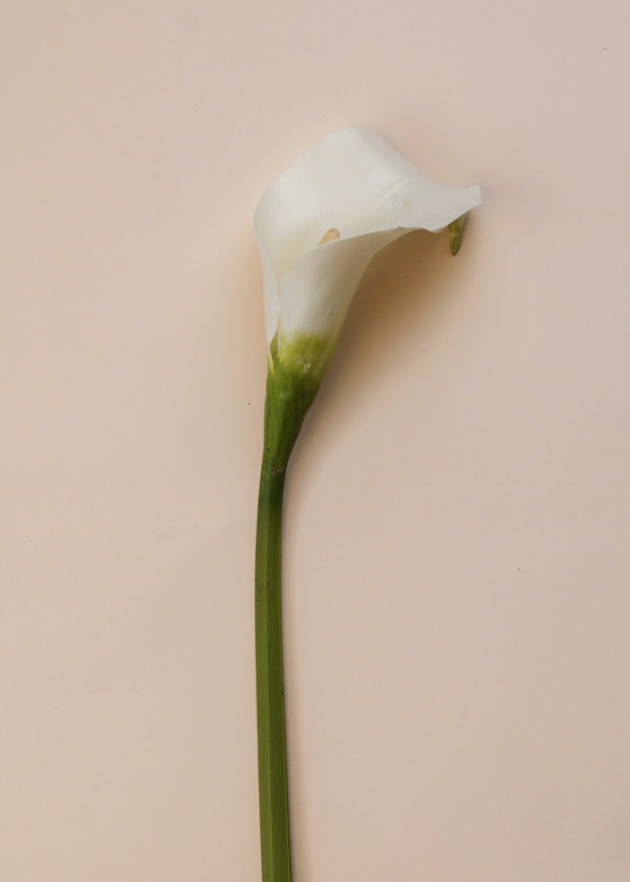 Real Touch Petite Calla Lily