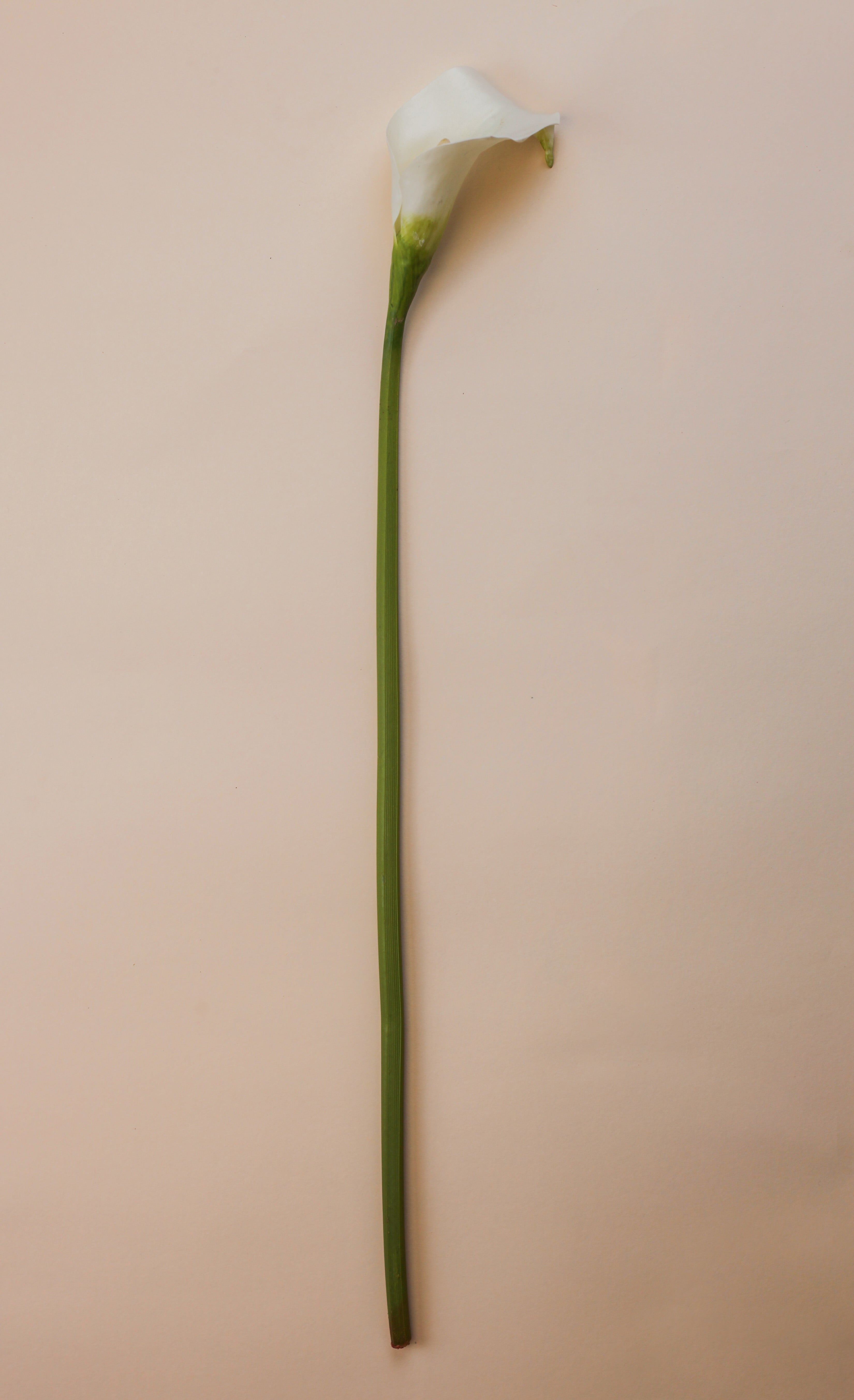 Real Touch Petite Calla Lily