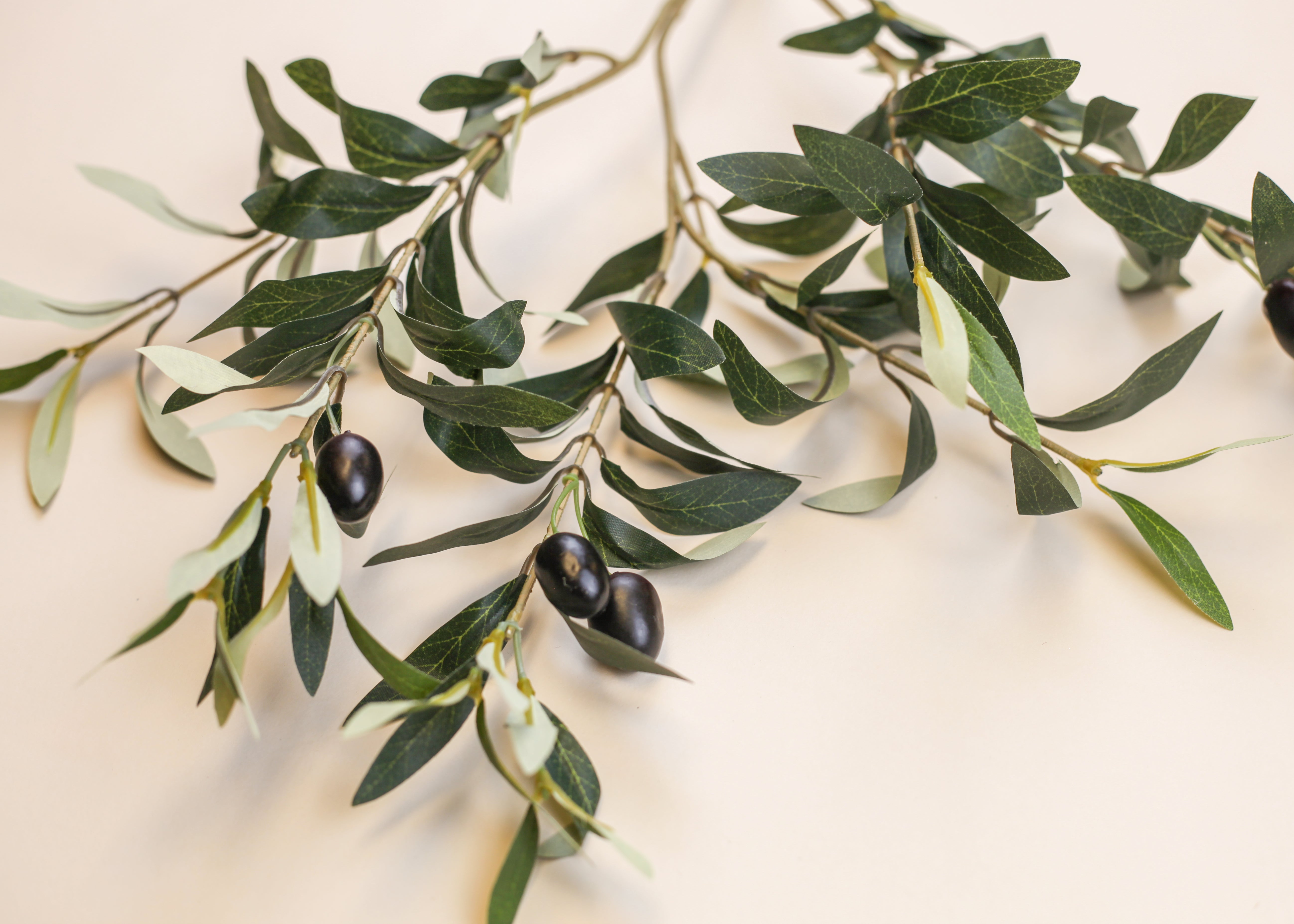 Olive Branch 22"