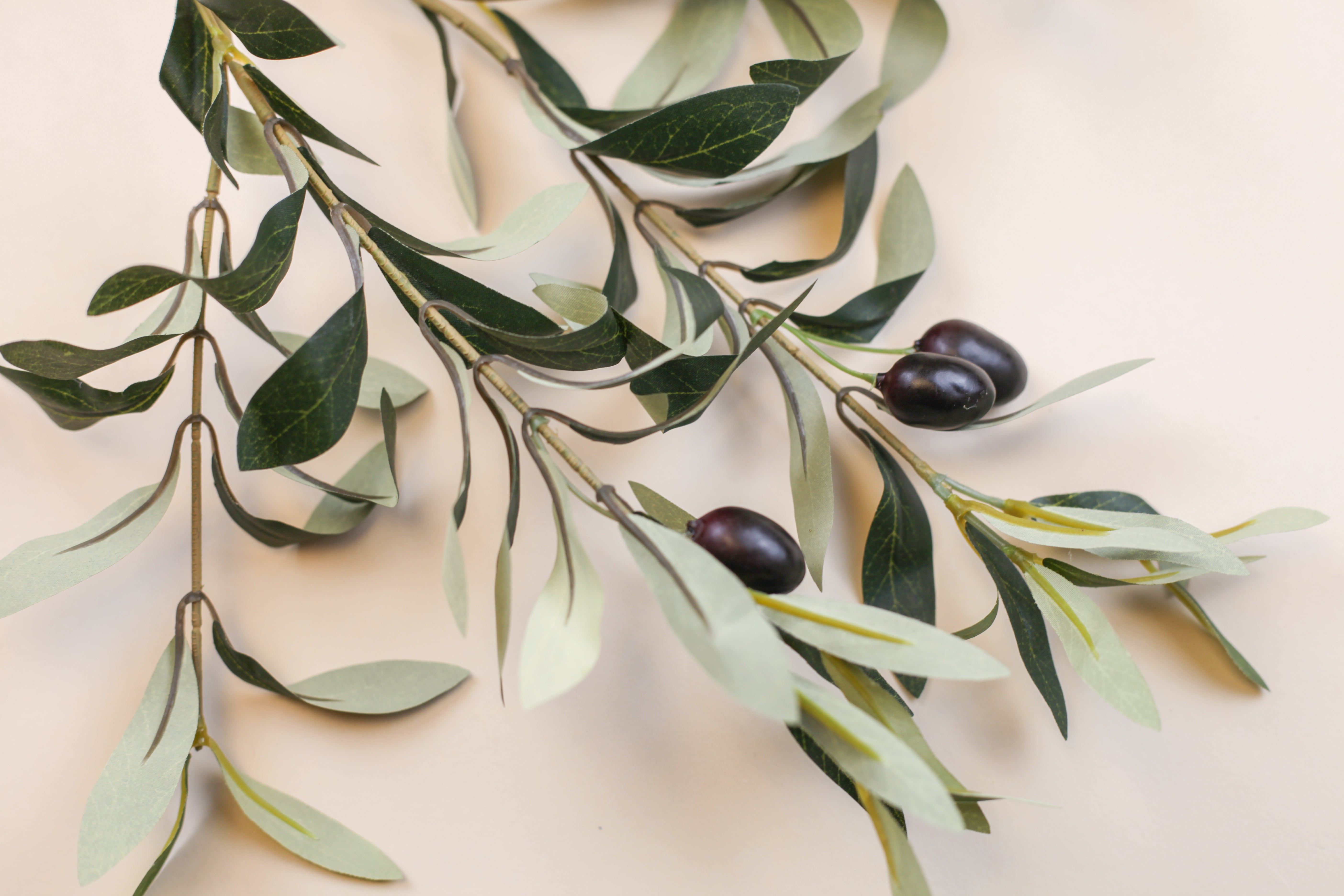 Olive Branch 22"
