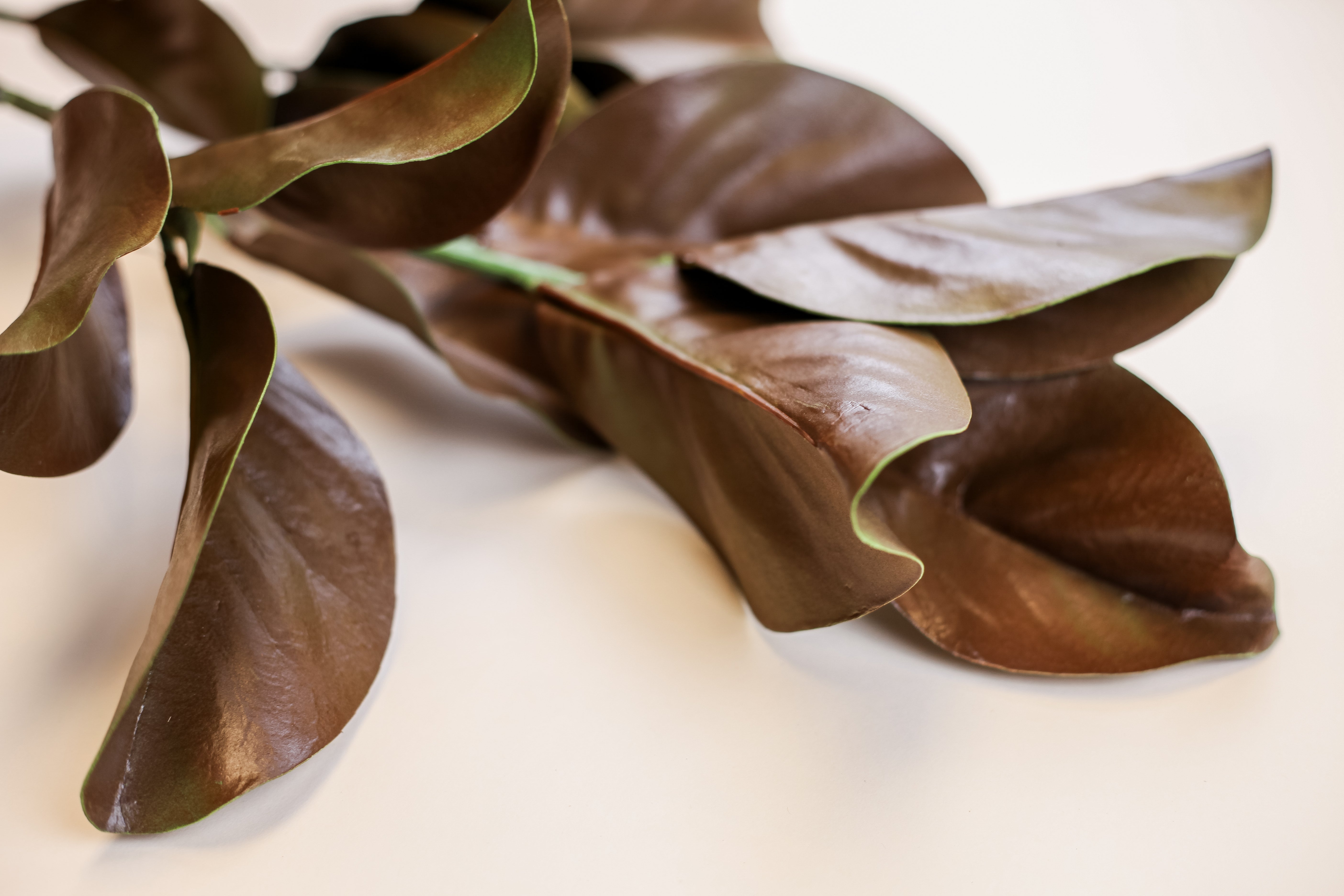 Magnolia Branch - Brown 40"