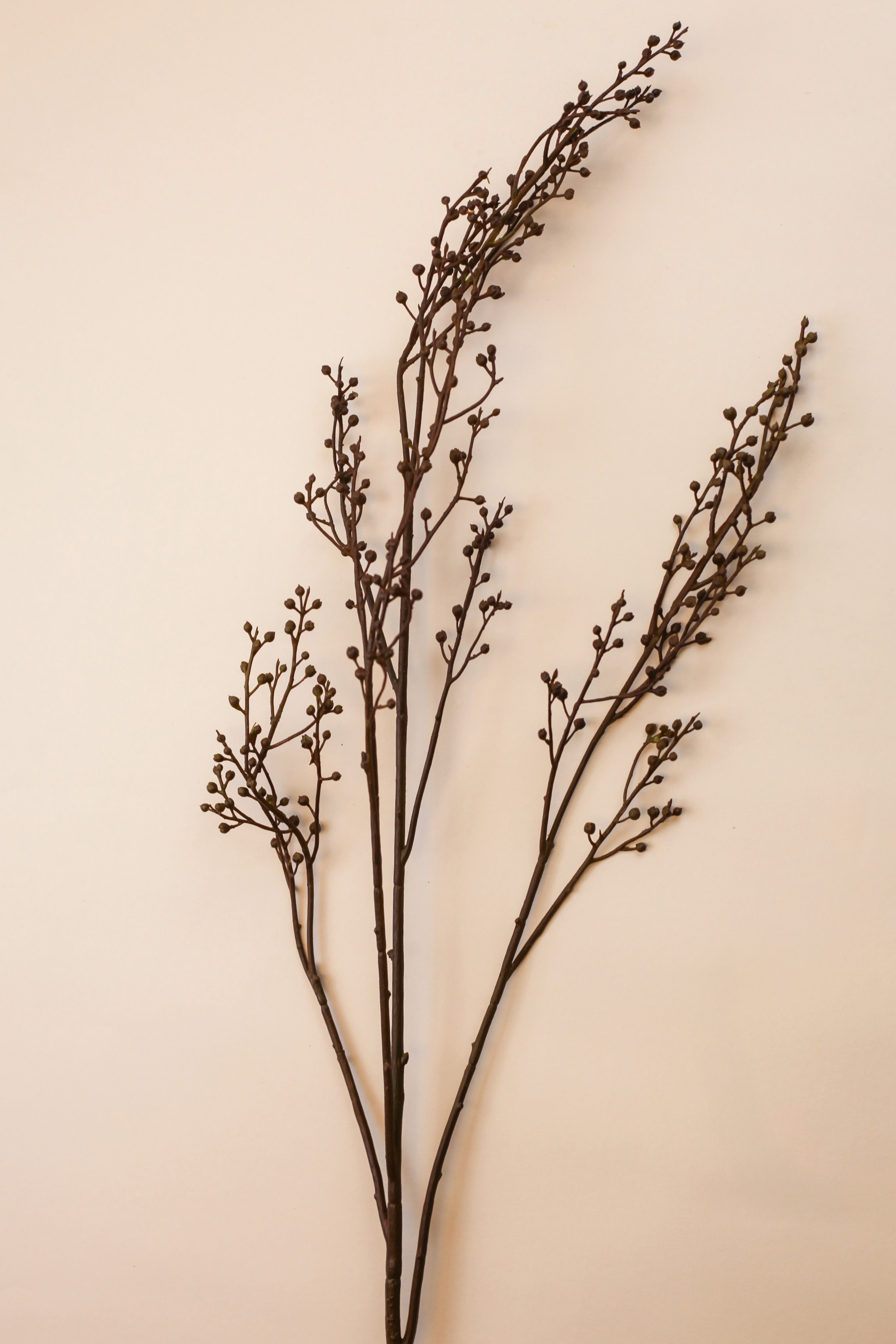 Bean Branch 40"