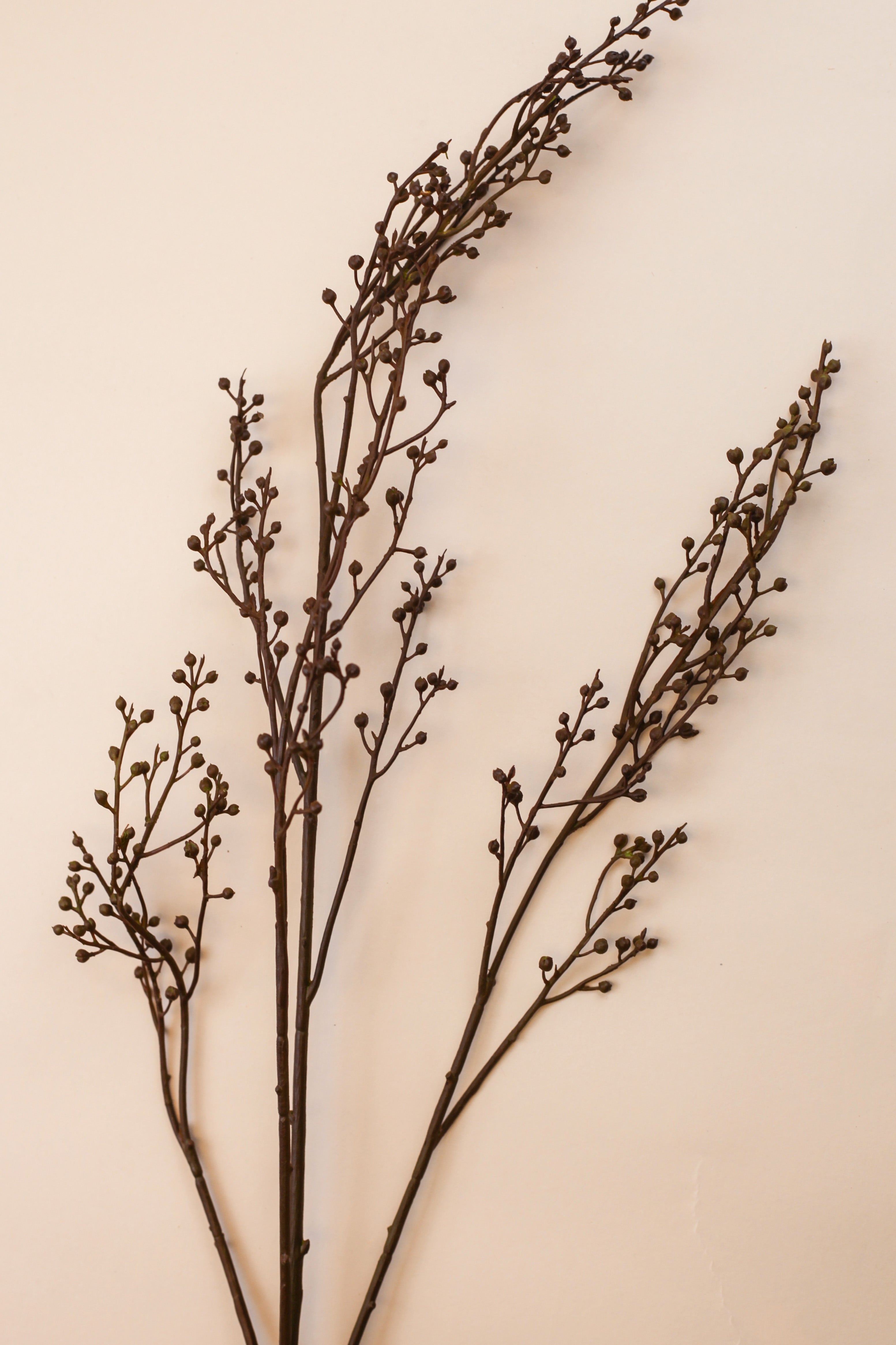 Bean Branch 40"