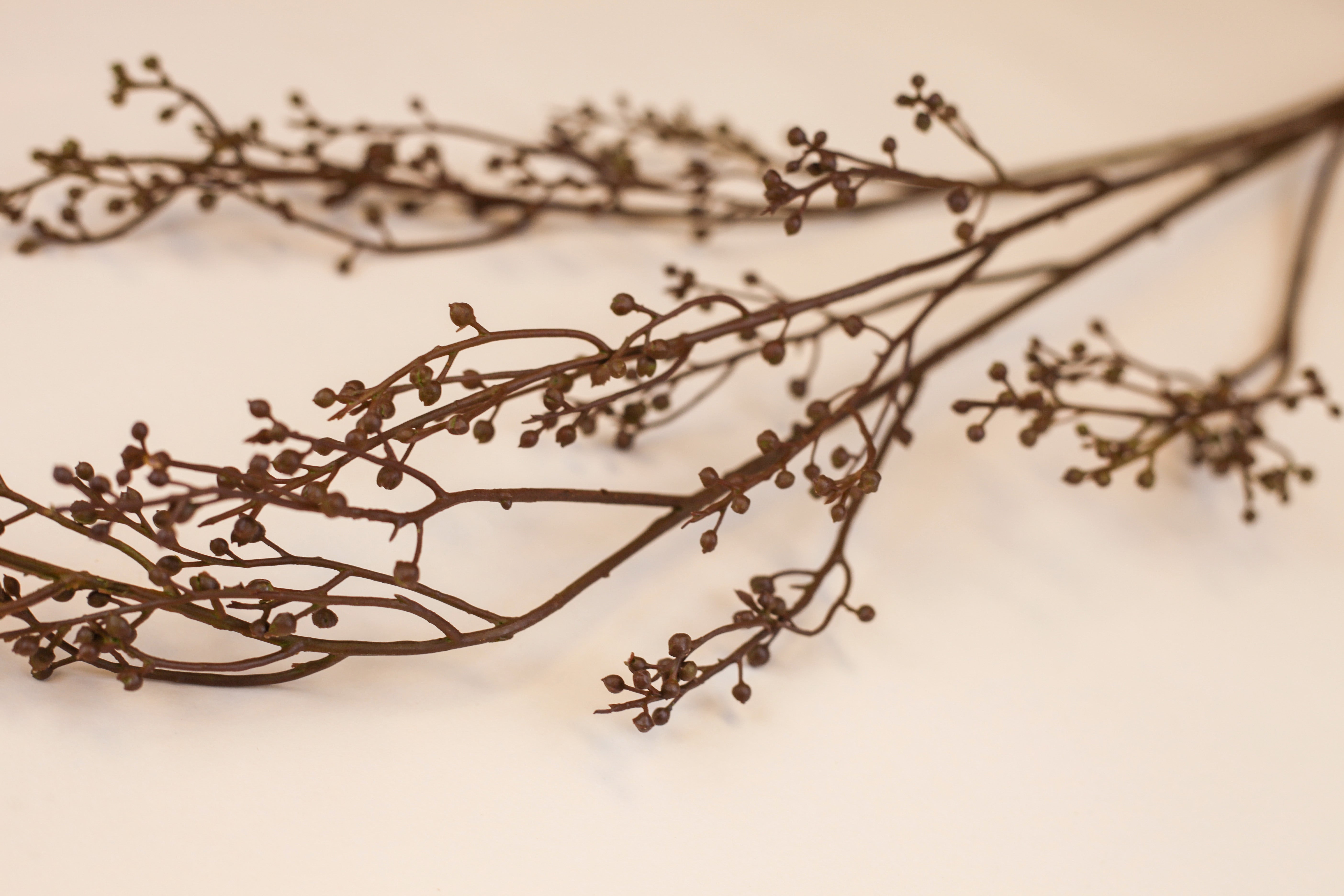 Bean Branch 40"