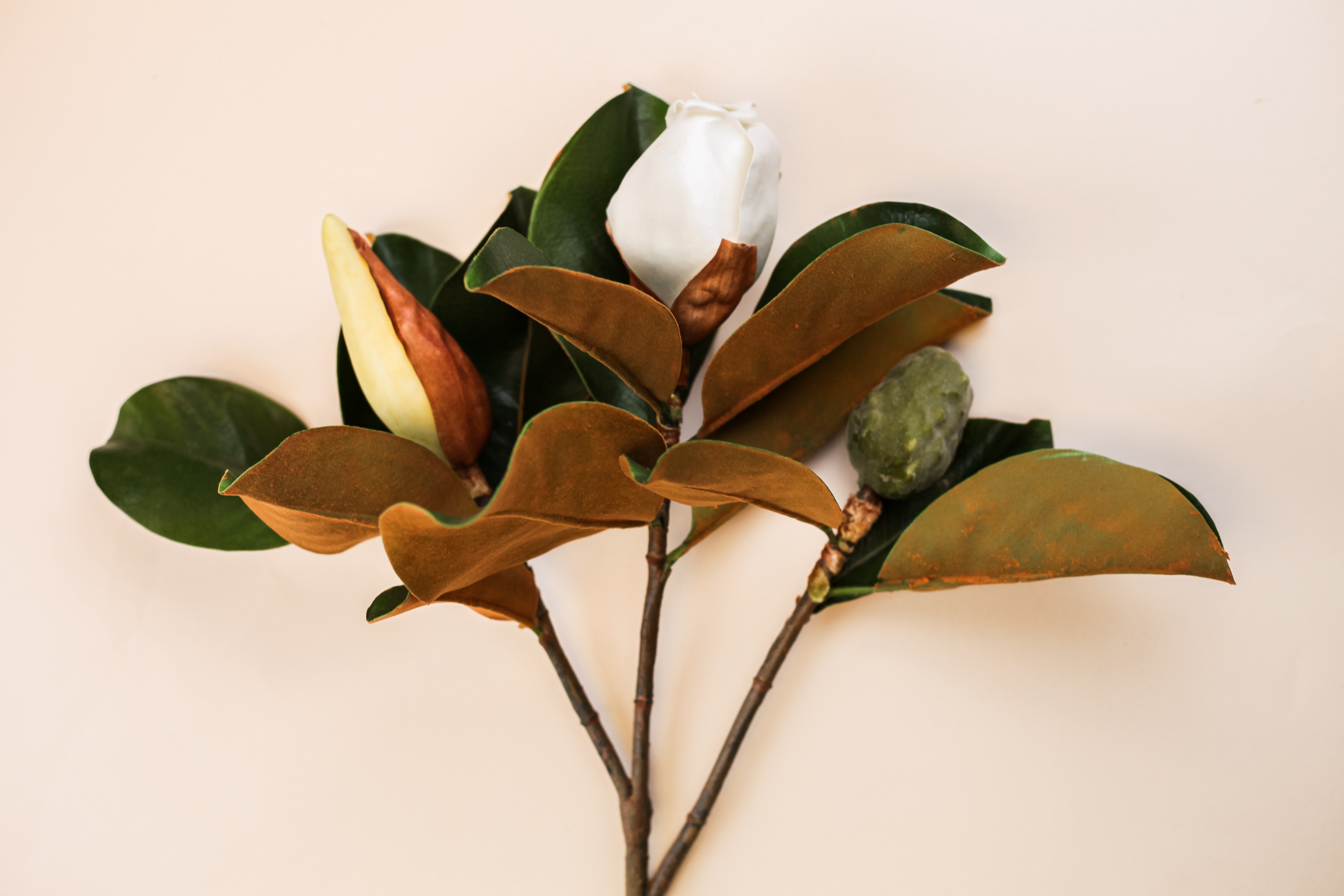 Real Touch Magnolia Bud Branch