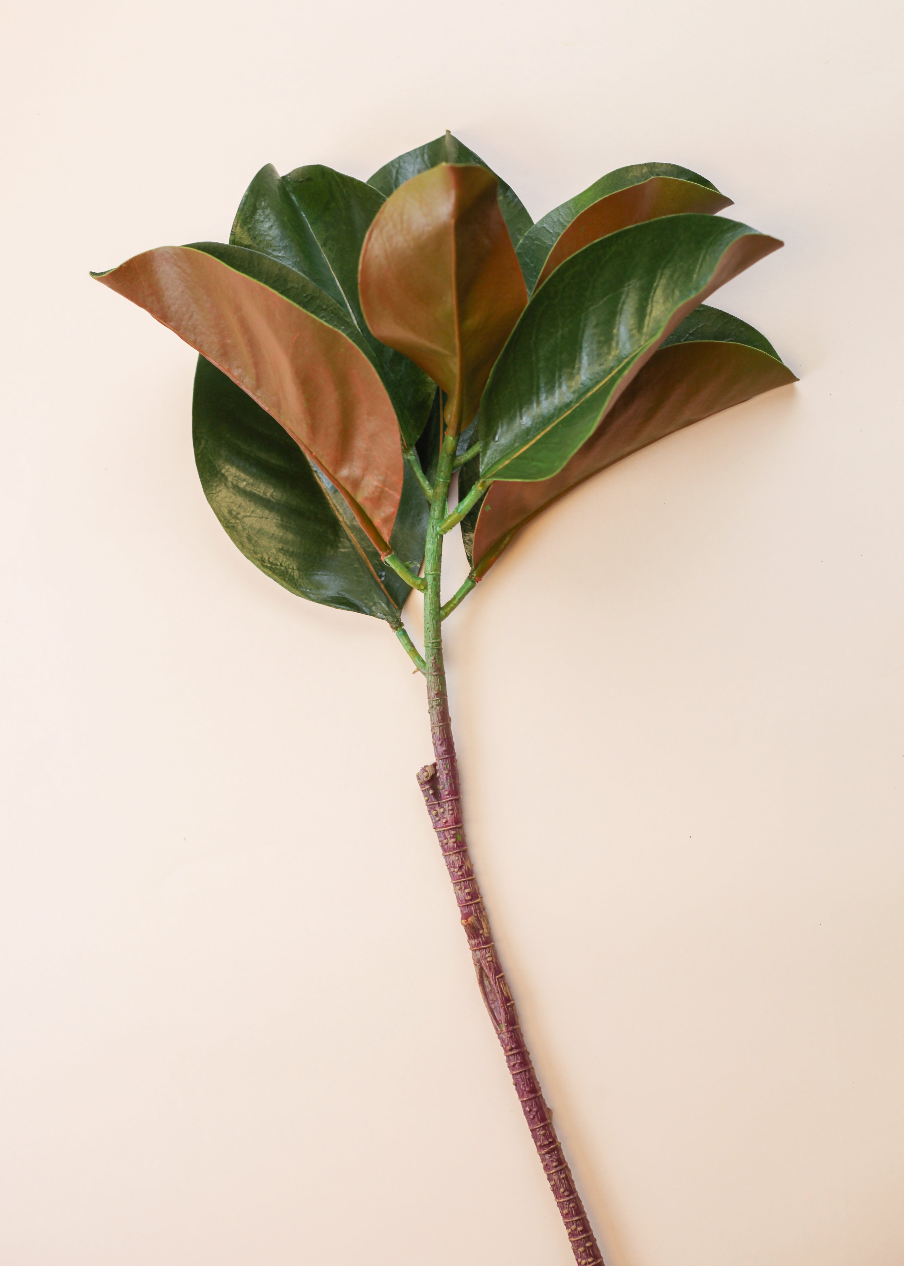 Magnolia Leaves 25"