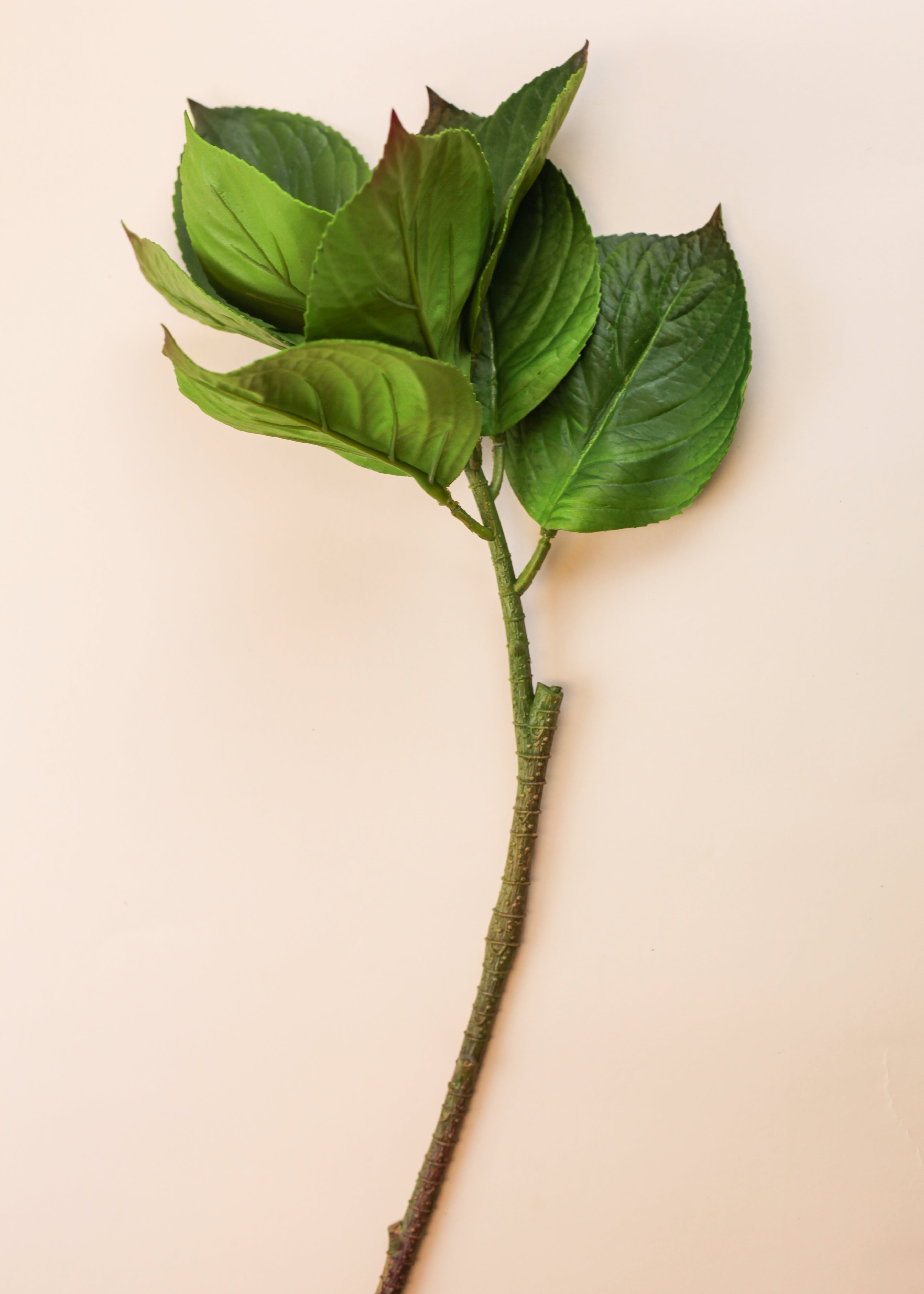 Hydrangea Leaves 25"