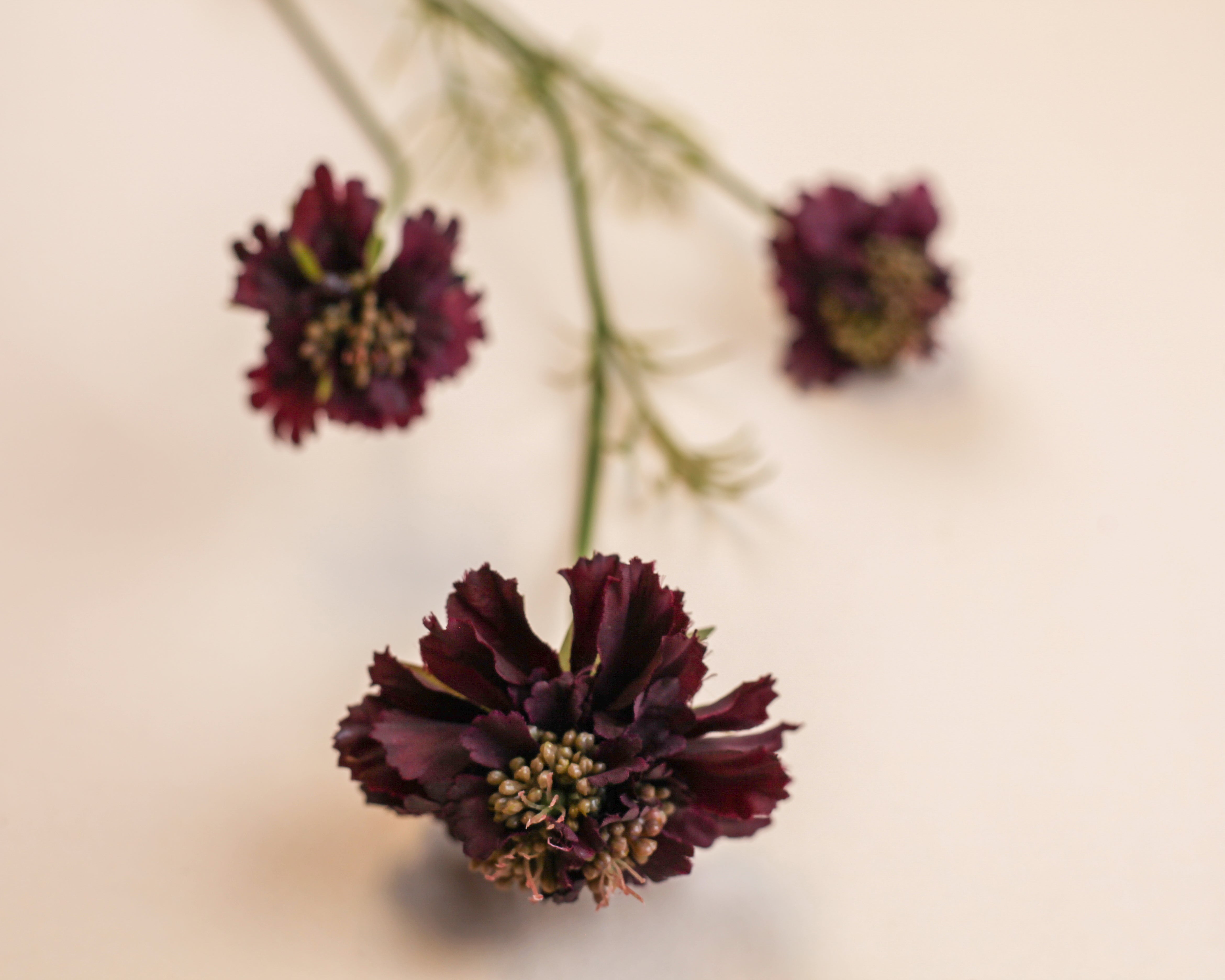 Scabiosa Spray - Burgundy