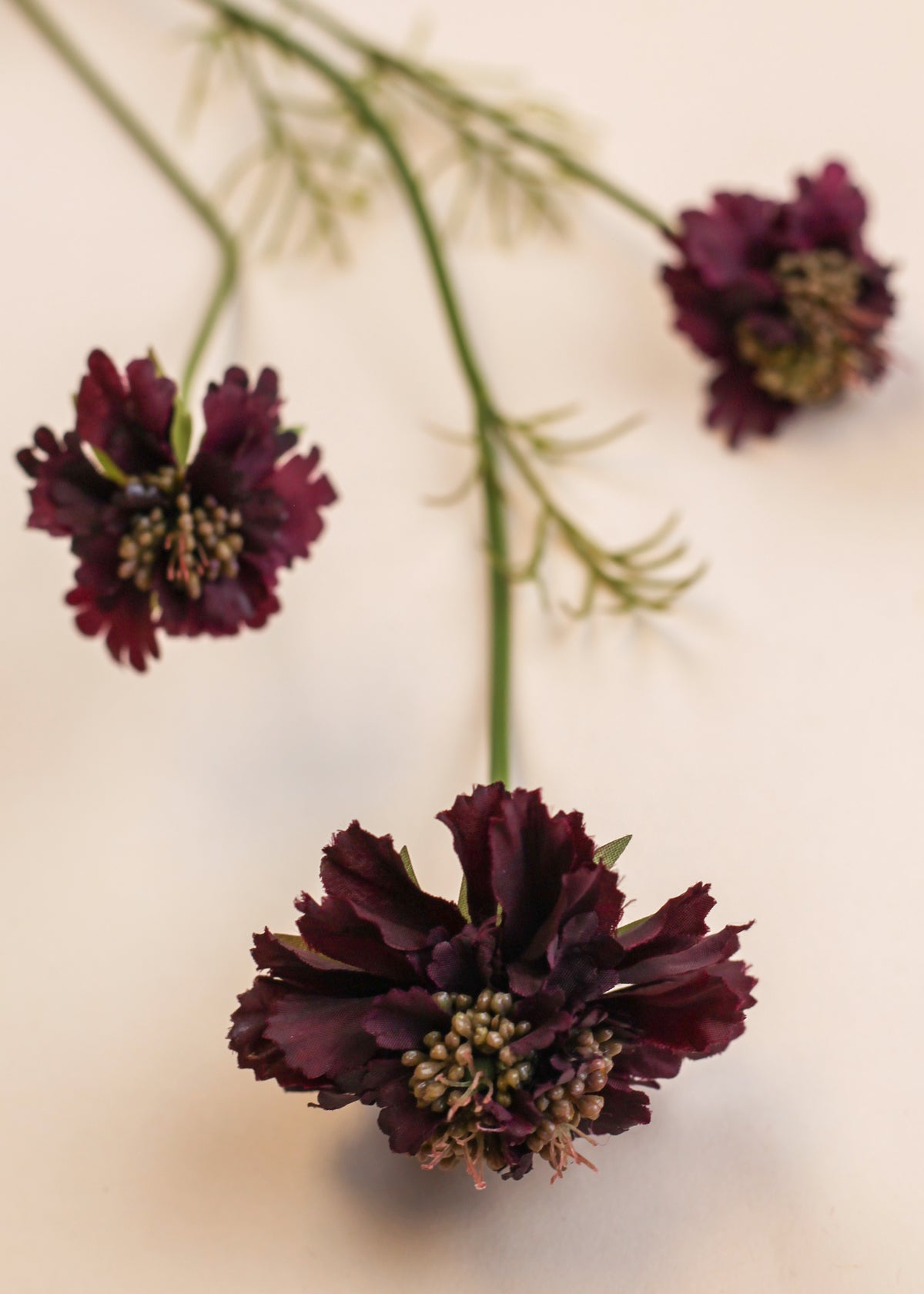 Scabiosa Spray - Burgundy