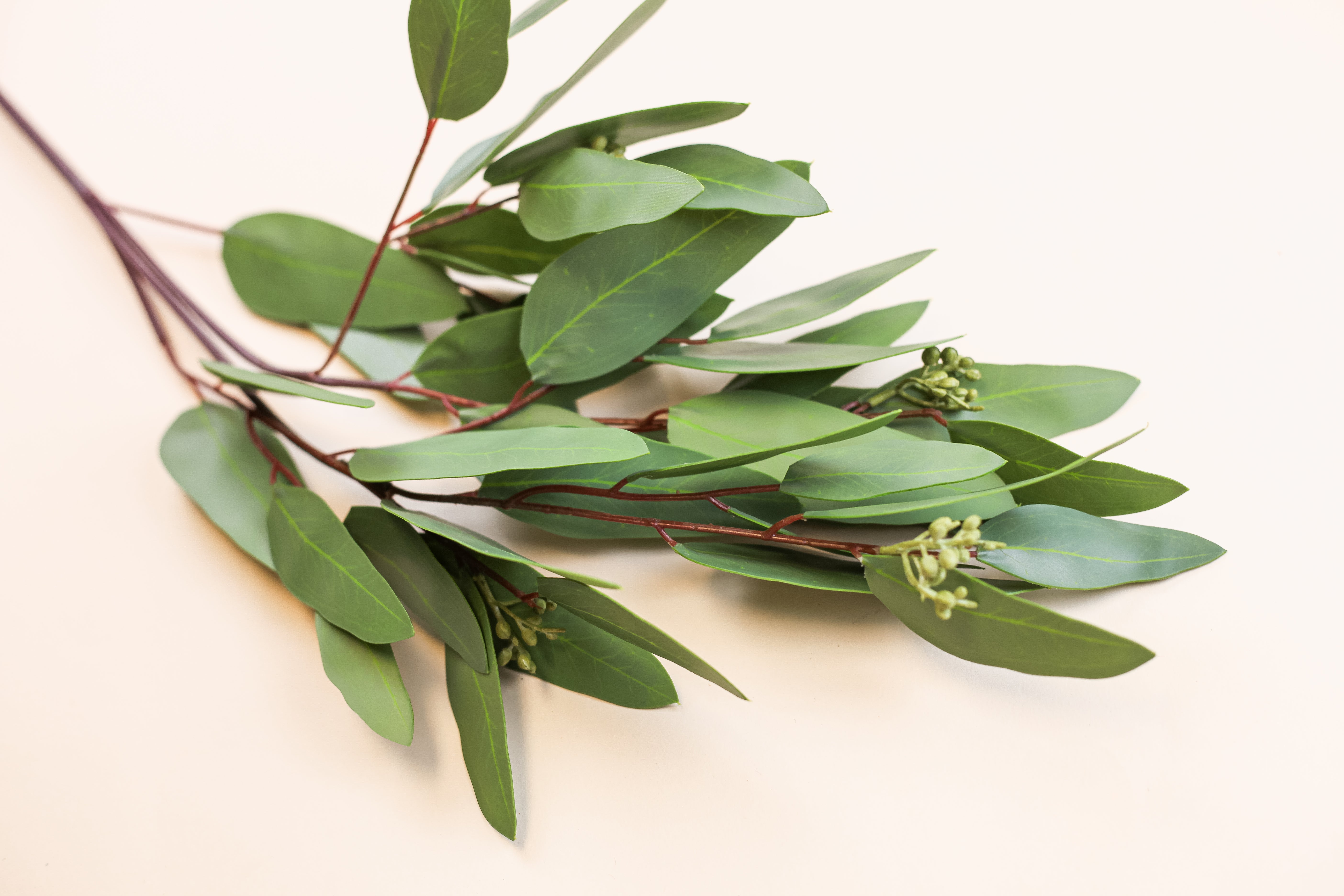 Long Eucalyptus Spray 30"