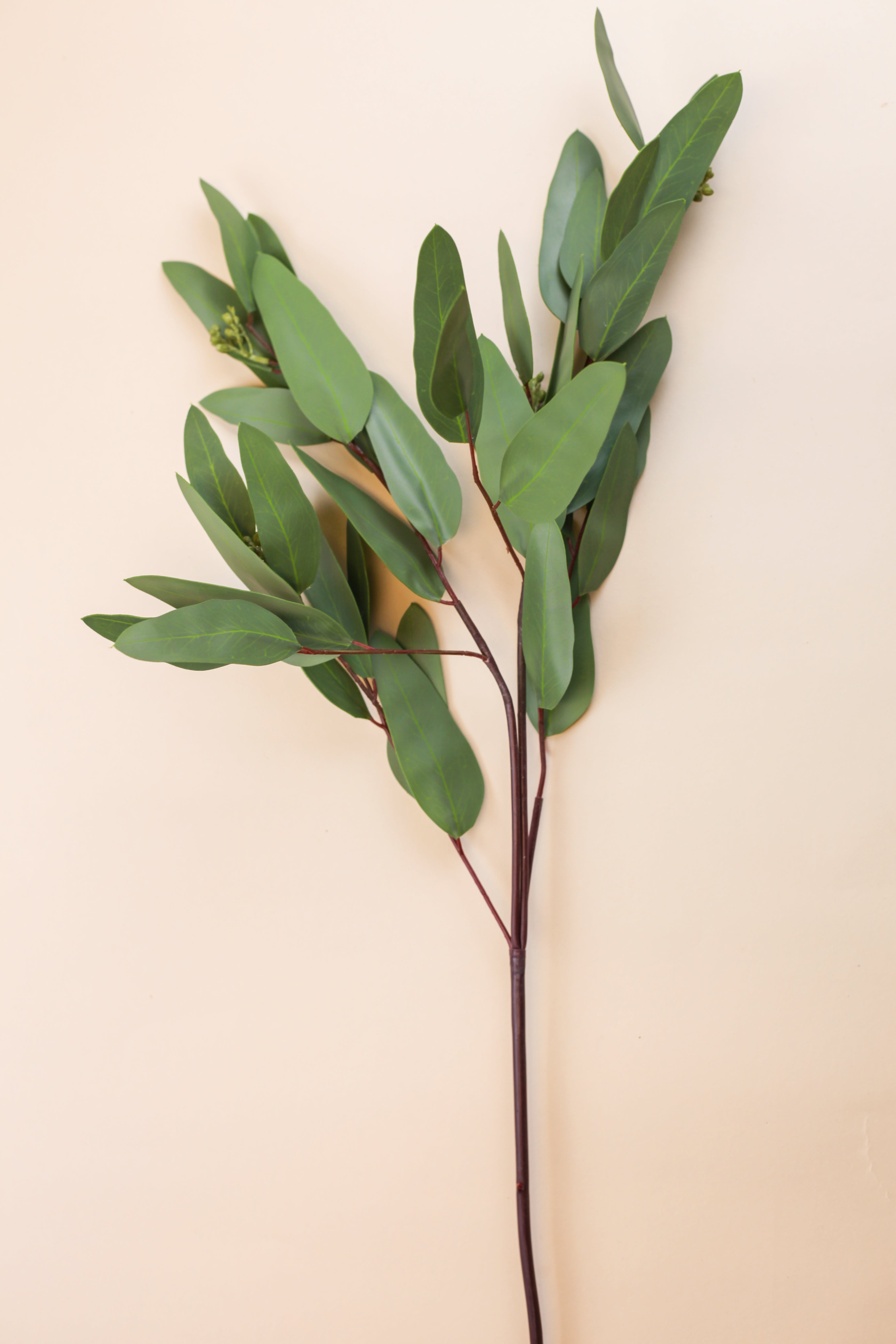 Long Eucalyptus Spray 30"