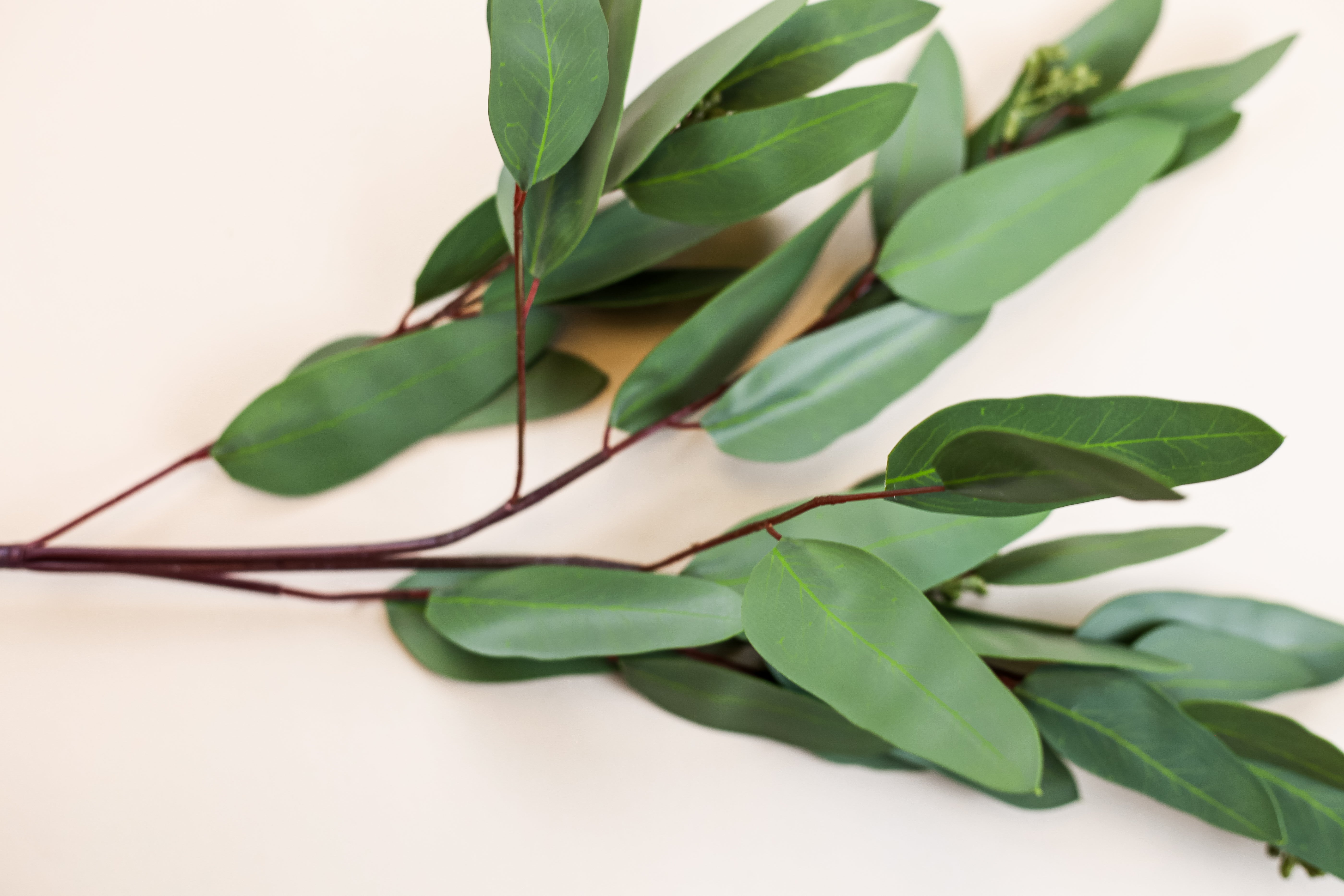 Long Eucalyptus Spray 30"