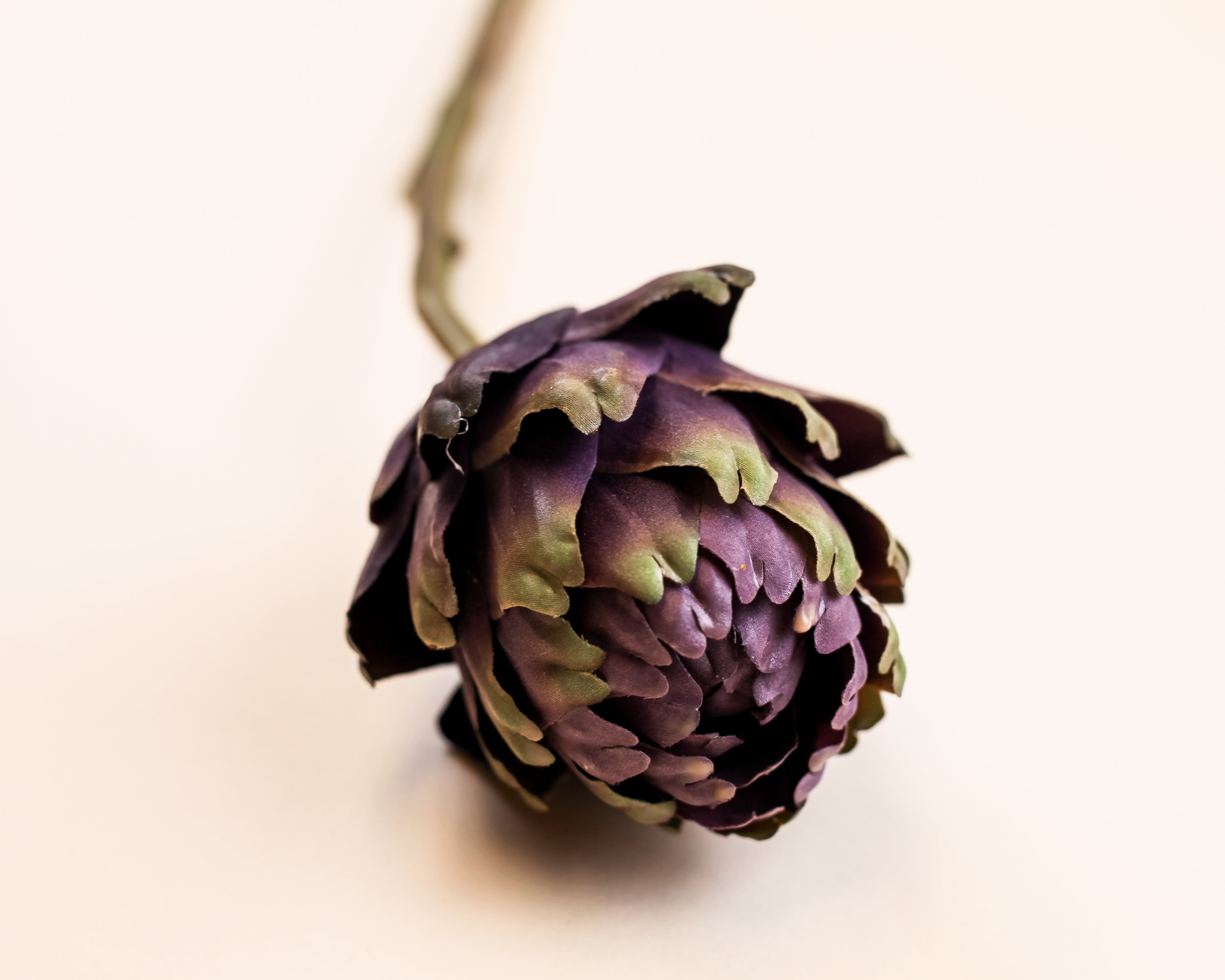 Mother Artichoke - Purple