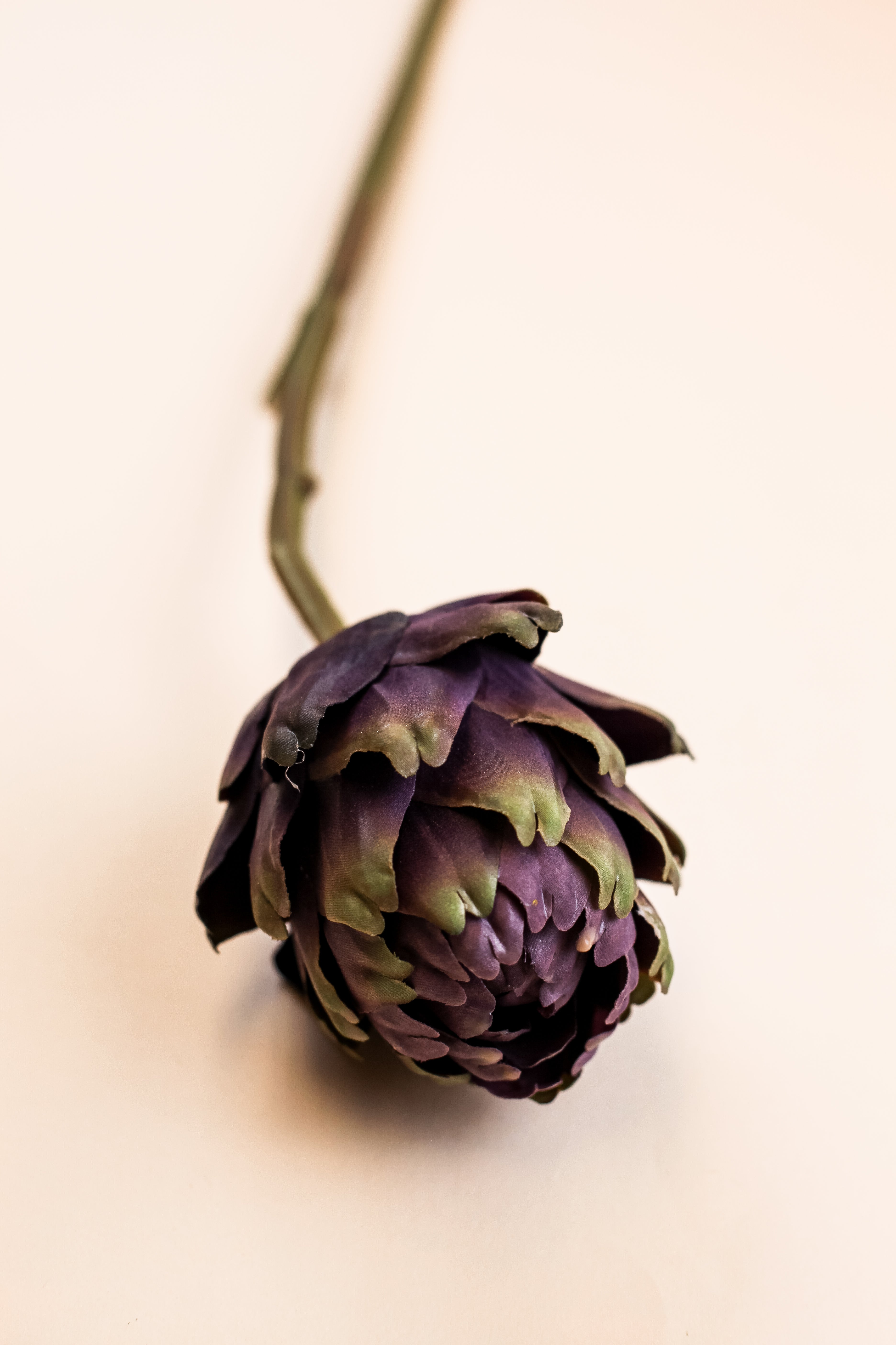 Mother Artichoke - Purple