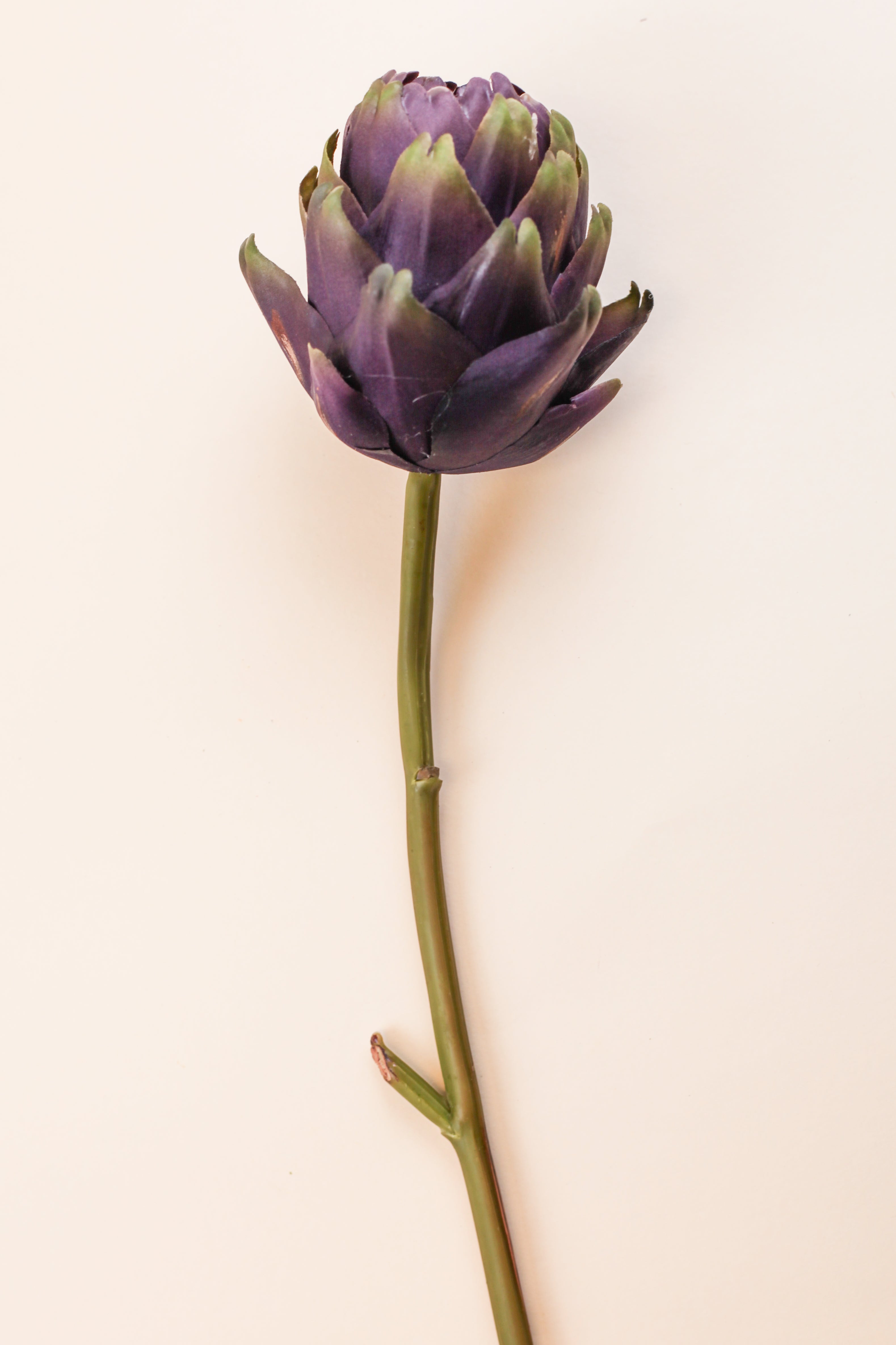 Mother Artichoke - Purple
