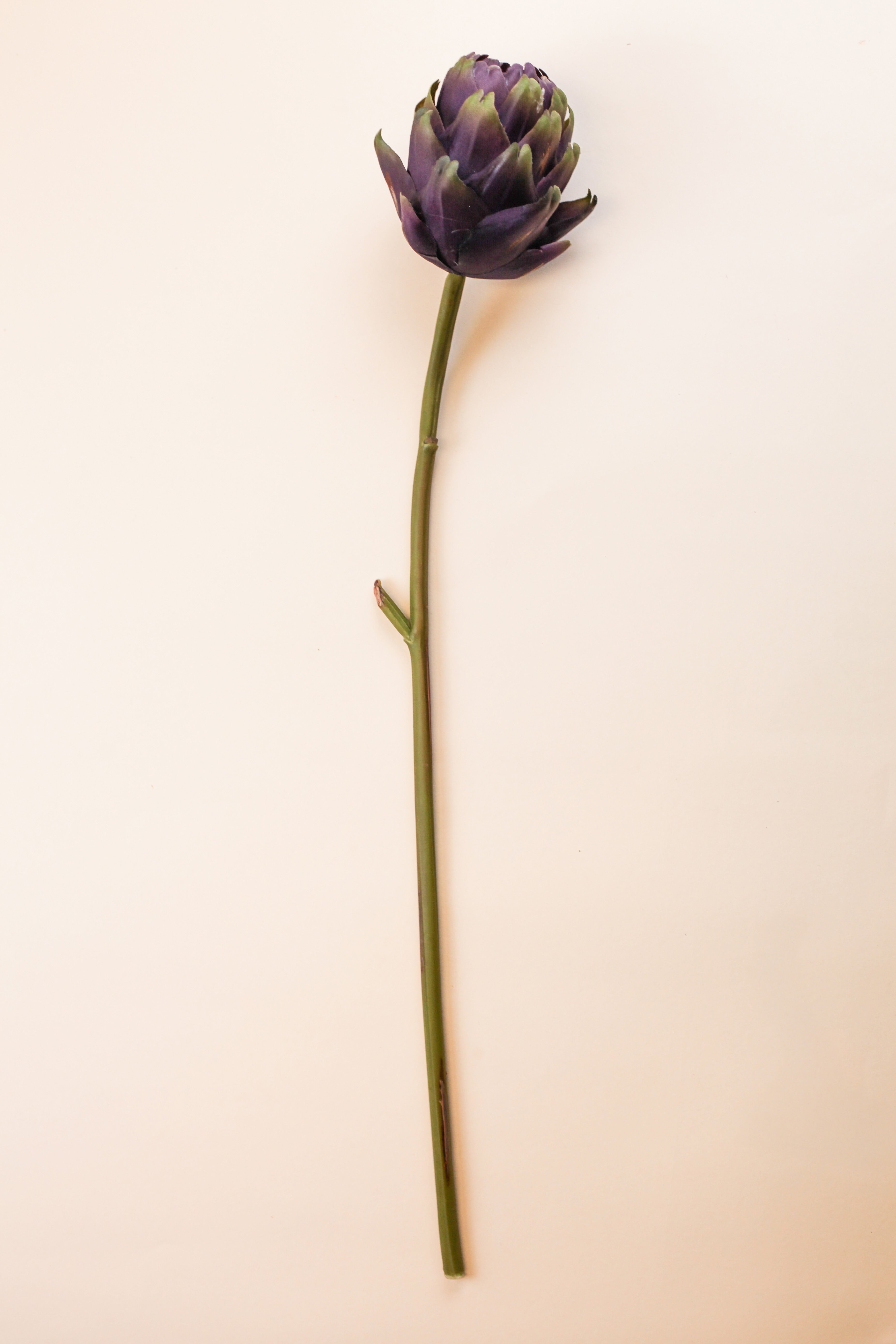 Mother Artichoke - Purple