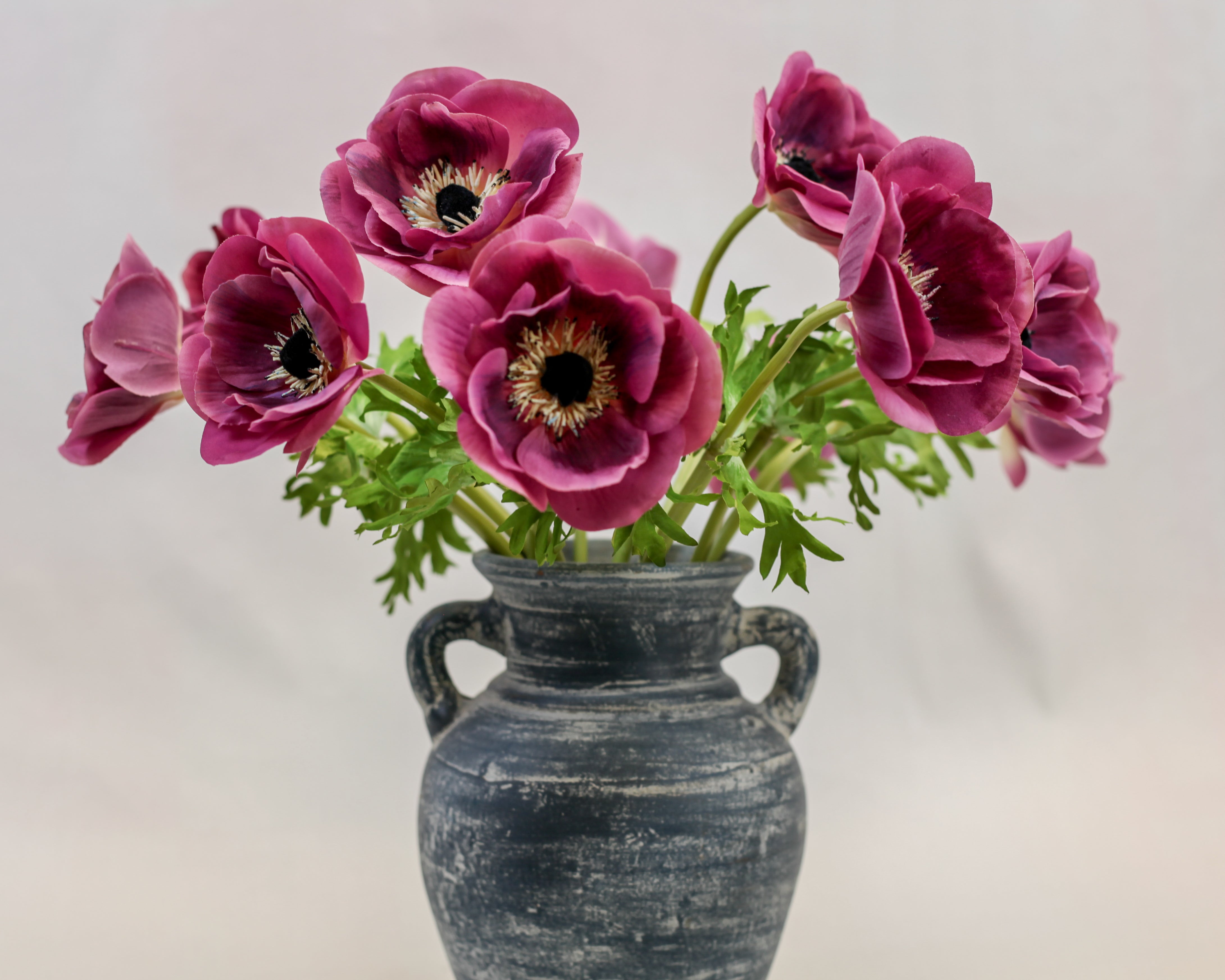 Harbor Blue Terracotta Handle Vase (9.5")