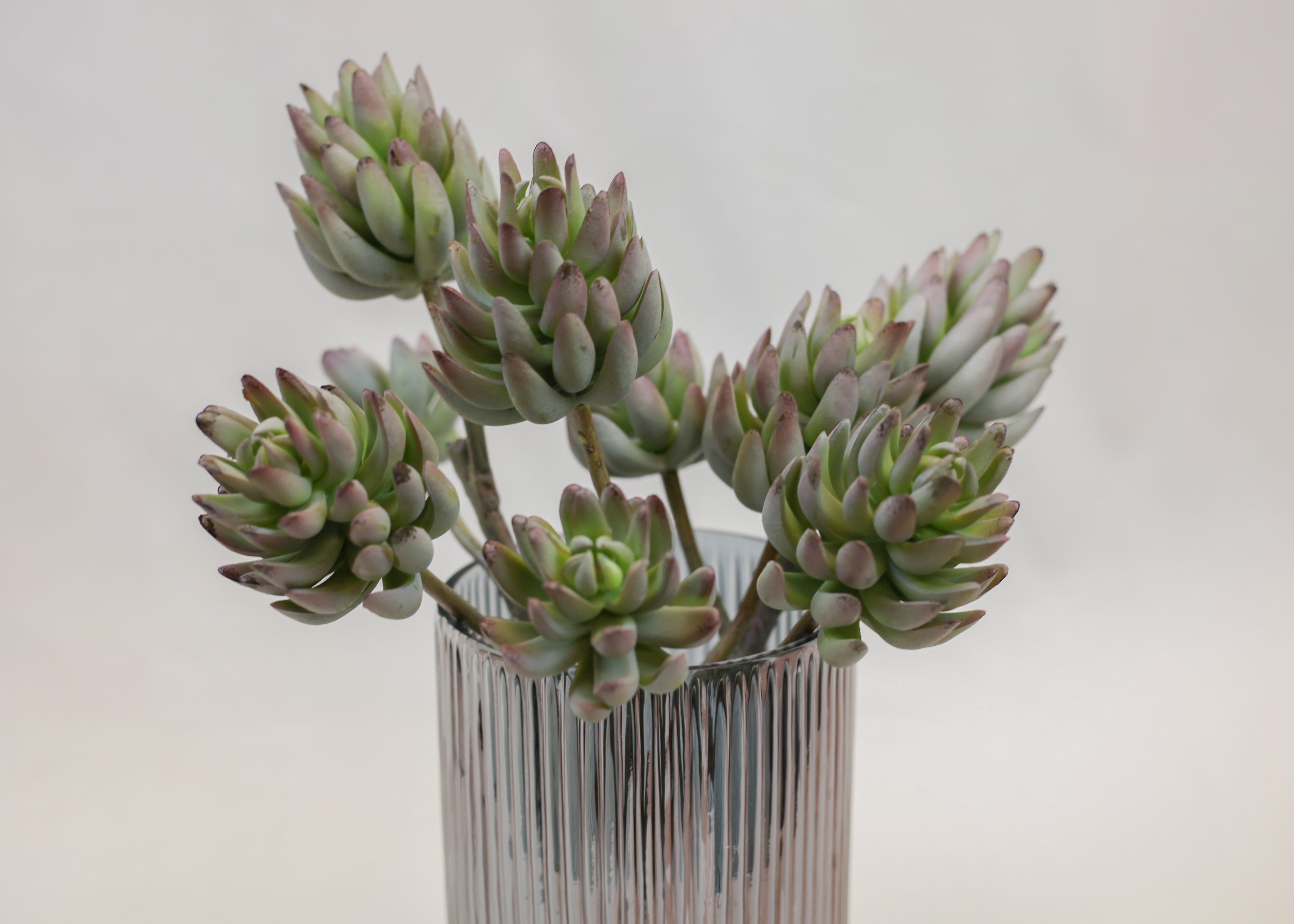 Ribbed Smoke Glass Vase (8.5")
