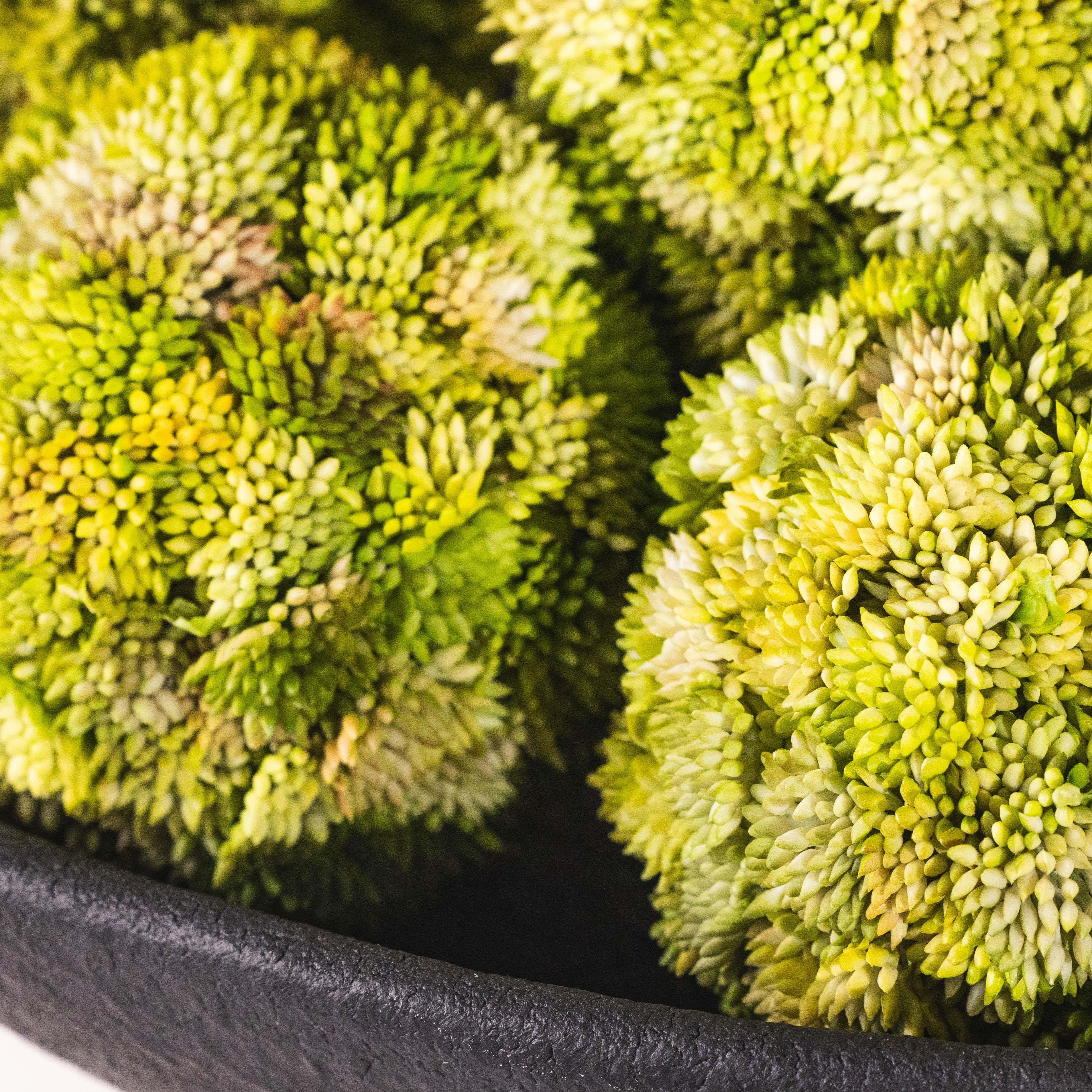 Santorini Bowl (Black)