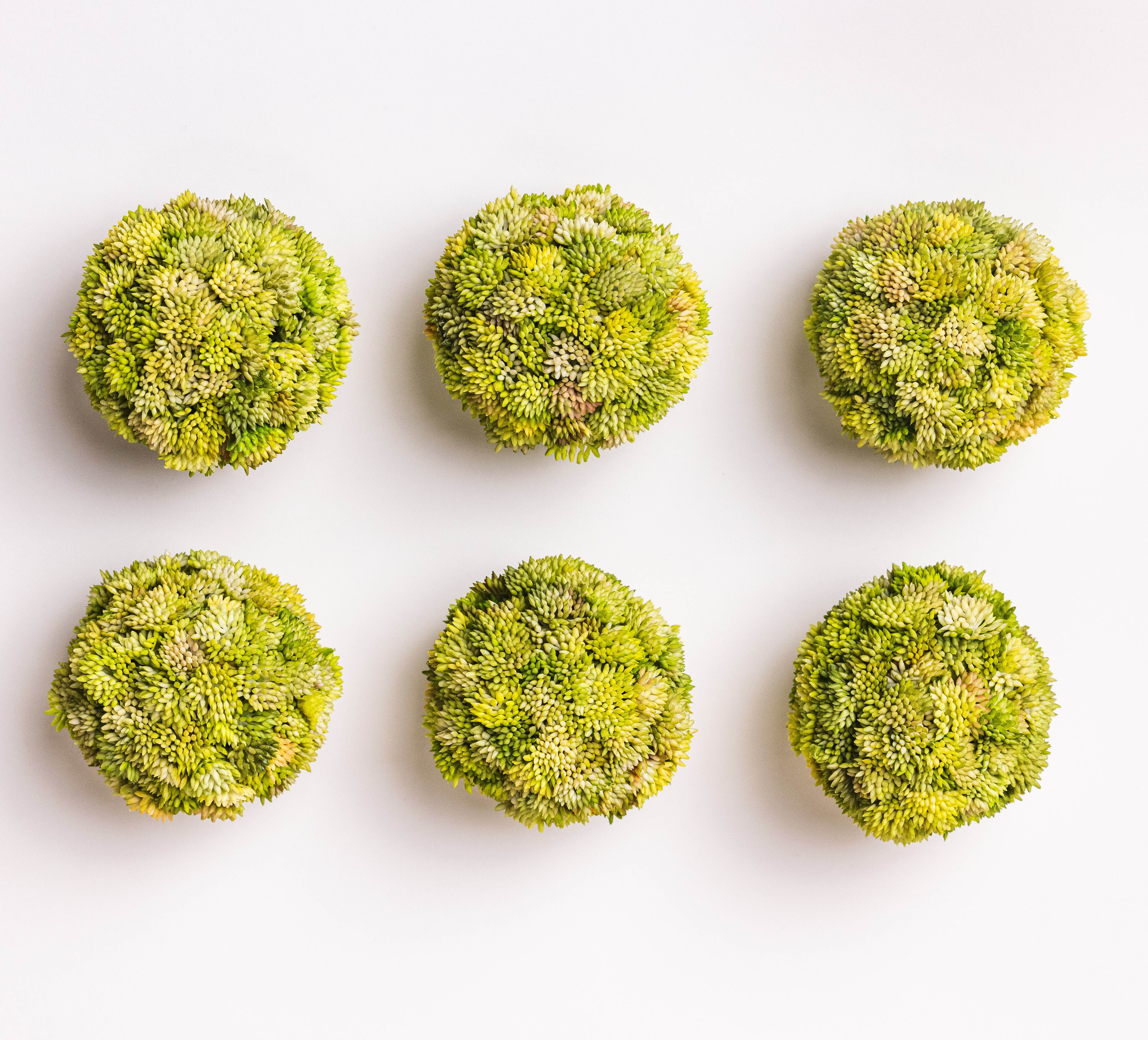 Santorini Bowl (Black)