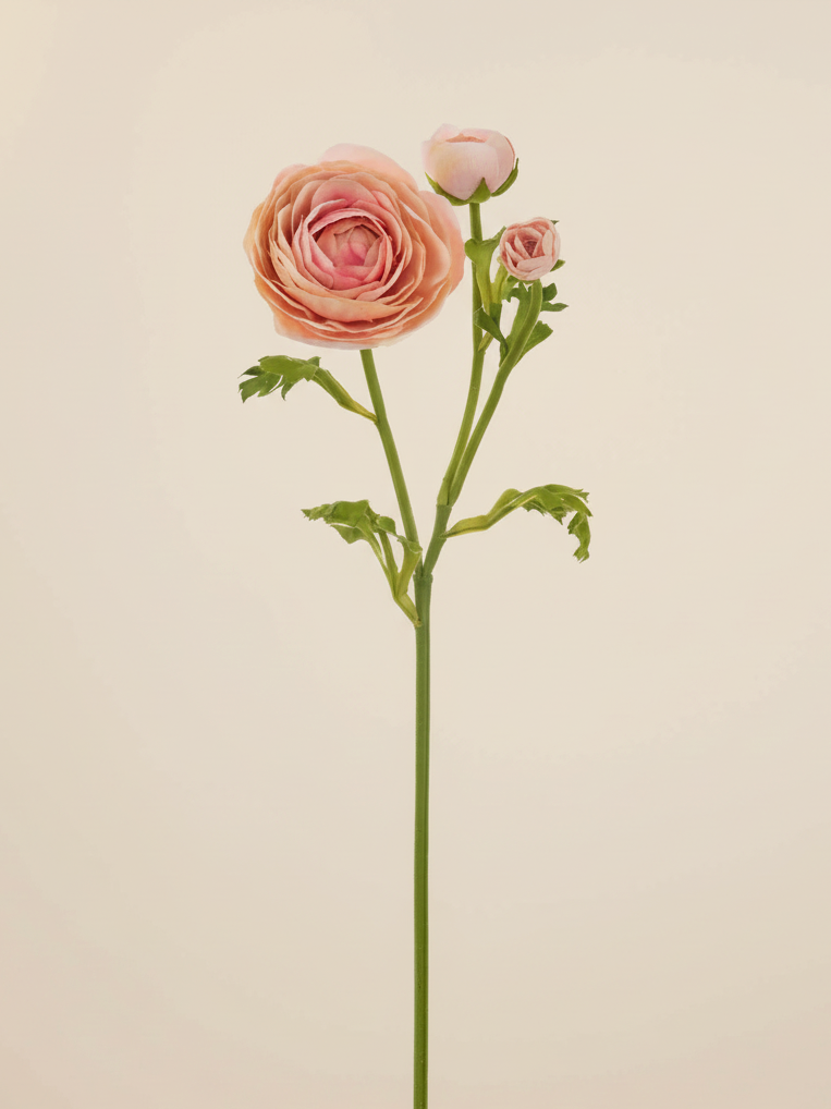 Real Touch Ranunculus - Peach