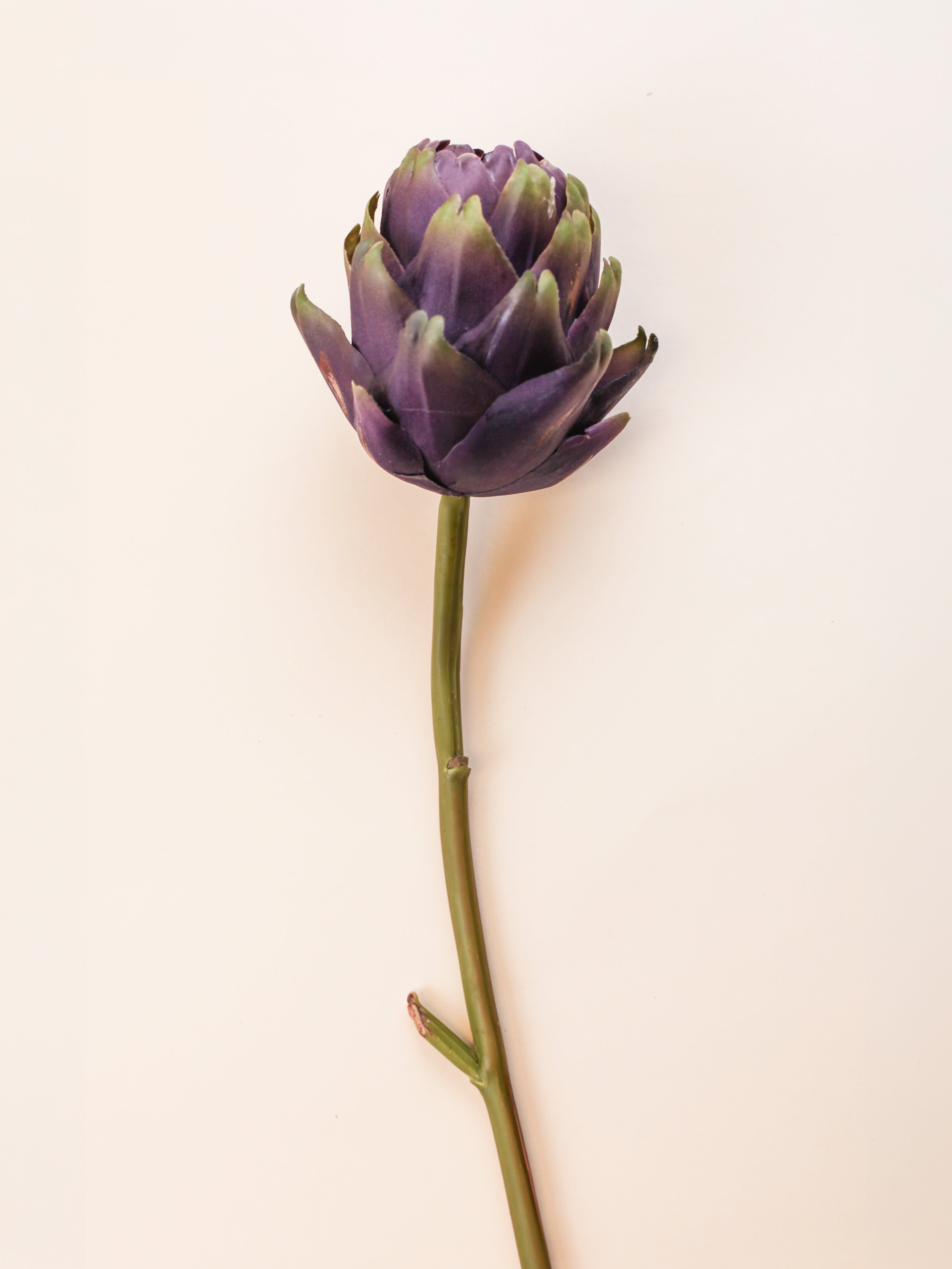 Mother Artichoke - Purple