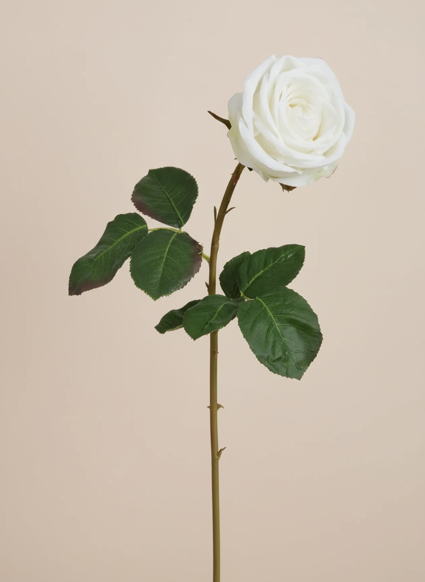 Real Touch Ecuadorian Rose - White 20.5"