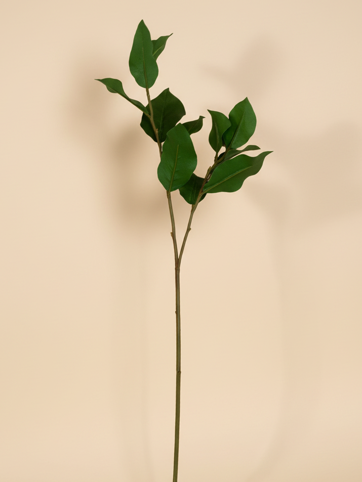 Salal Leaf Stem 23"