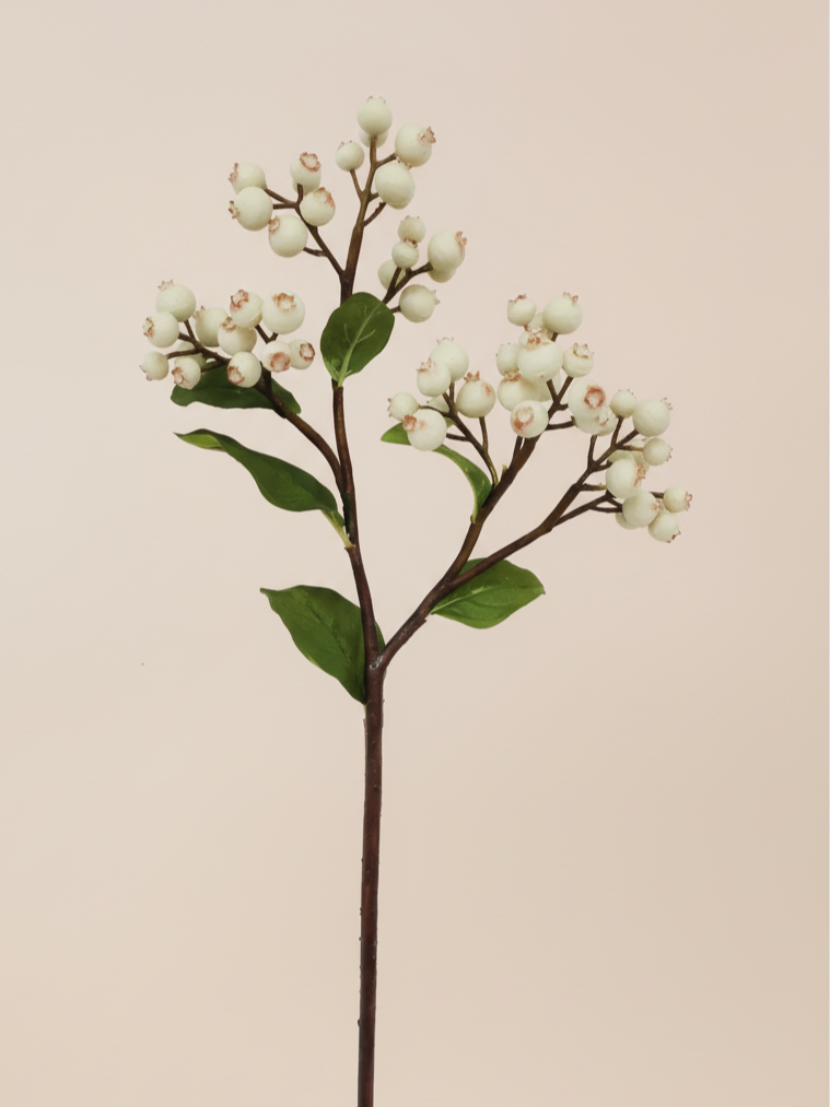 White Blueberry Branch