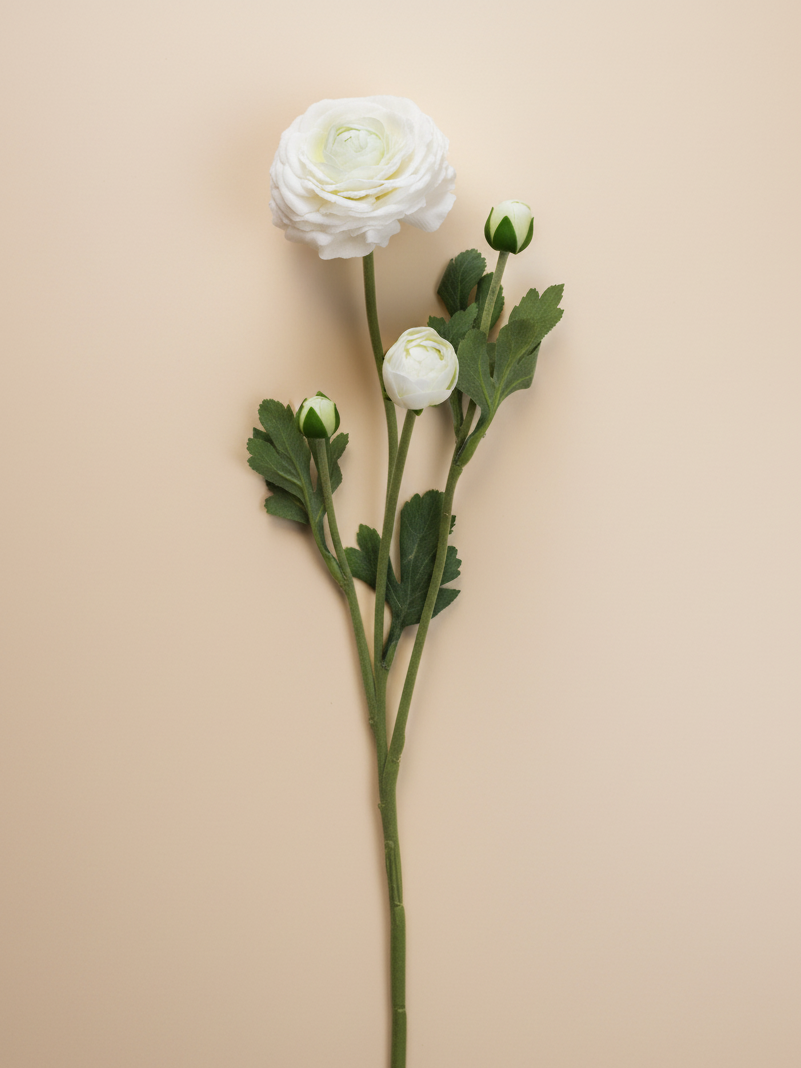 Single White Ranunculus Real Touch Ranunculus - White 18