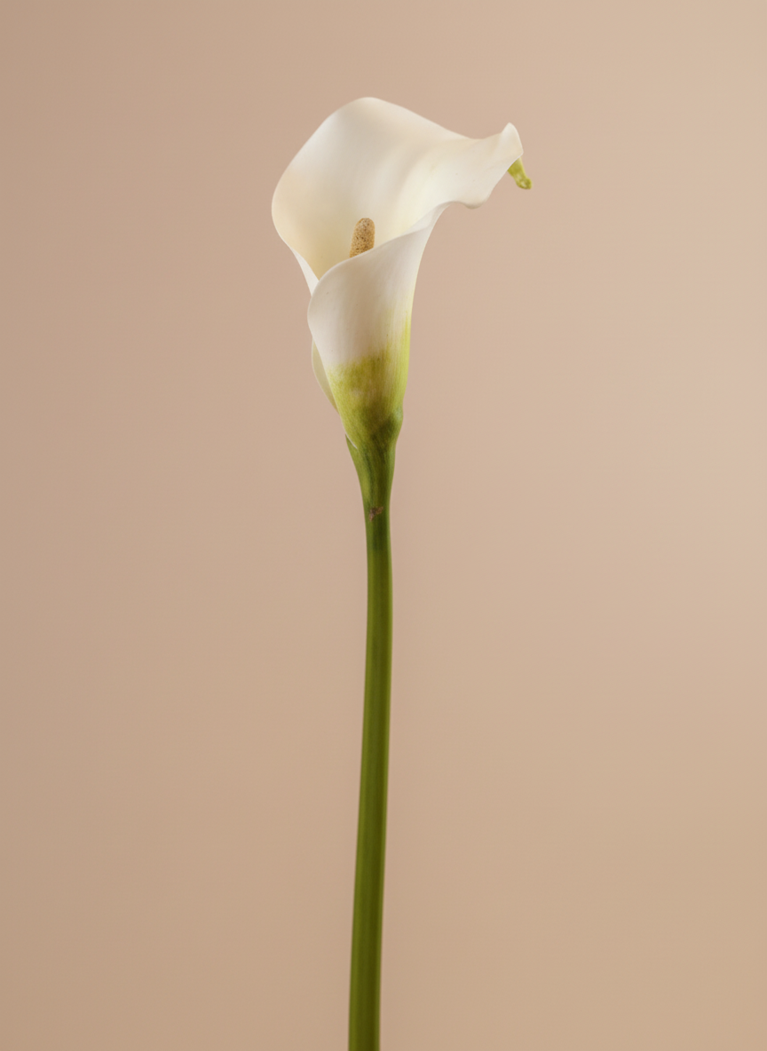 Real Touch Petite Calla Lily
